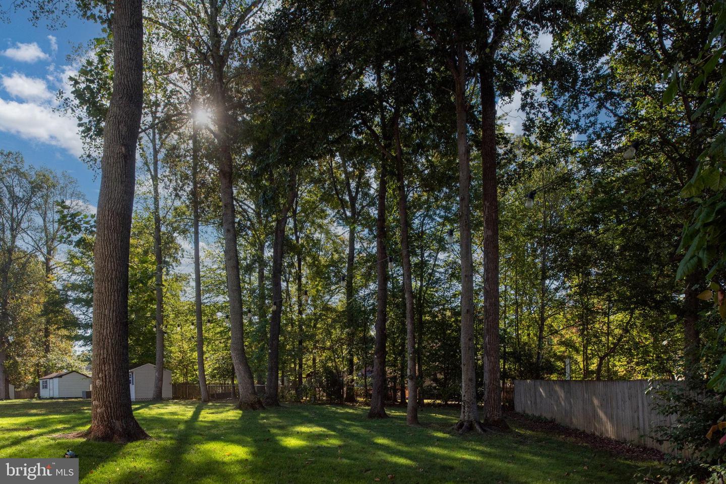 4 GARFIELD ST, STAFFORD, Virginia 22556, 5 Bedrooms Bedrooms, 8 Rooms Rooms,2 BathroomsBathrooms,Residential,For sale,4 GARFIELD ST,VAST2043474 MLS # VAST2043474 4 GARFIELD ST, STAFFORD, Virginia 22556, 5 Bedrooms Bedrooms, 8 Rooms Rooms,2 BathroomsBathrooms,Residential,For sale,4 GARFIELD ST,VAST2043474 MLS # VAST2043474