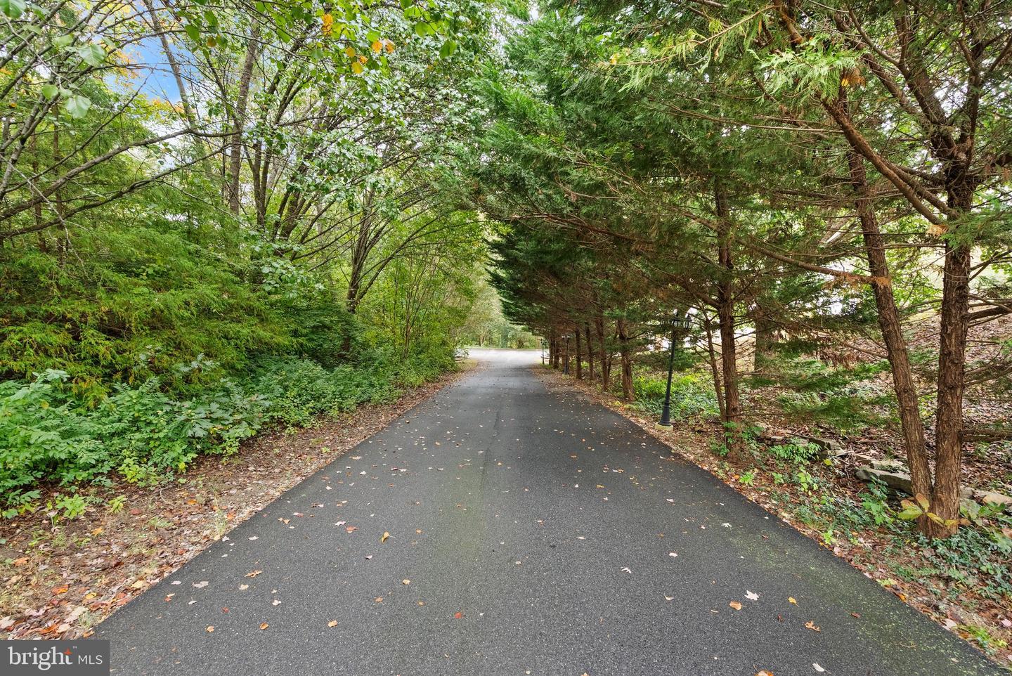 10303 BEAR CREEK DR, MANASSAS, Virginia 20111, 5 Bedrooms Bedrooms, 9 Rooms Rooms,3 BathroomsBathrooms,Residential,For sale,10303 BEAR CREEK DR,VAPW2106076 MLS # VAPW2106076