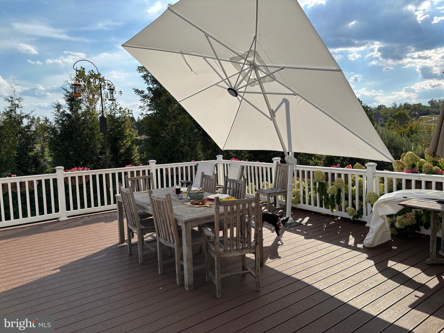 107 LACOSTA CT, WINCHESTER, Virginia 22602, 4 Bedrooms Bedrooms, ,3 BathroomsBathrooms,Residential,For sale,107 LACOSTA CT,VAFV2037422 MLS # VAFV2037422