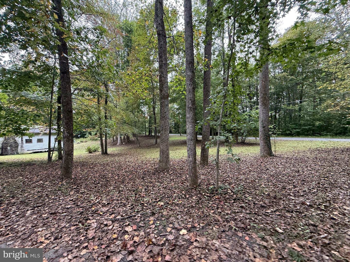 8212 FOX ST, MANASSAS, Virginia 20112, 1 Bedroom Bedrooms, ,Residential,For sale,8212 FOX ST,VAPW2106168 MLS # VAPW2106168