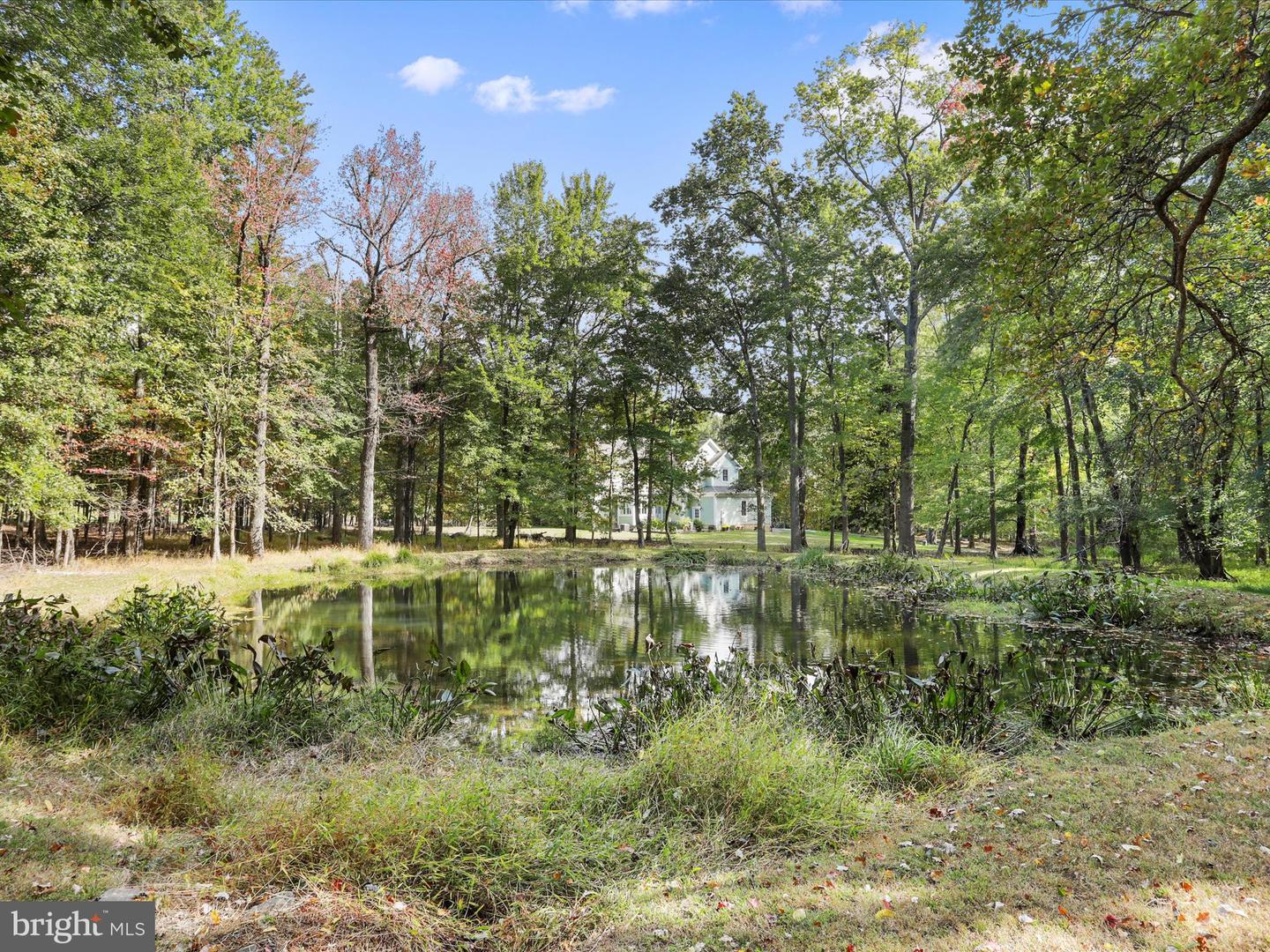 19935 FOGGY BOTTOM RD, BLUEMONT, Virginia 20135, 4 Bedrooms Bedrooms, ,3 BathroomsBathrooms,Residential,For sale,19935 FOGGY BOTTOM RD,VALO2109092 MLS # VALO2109092