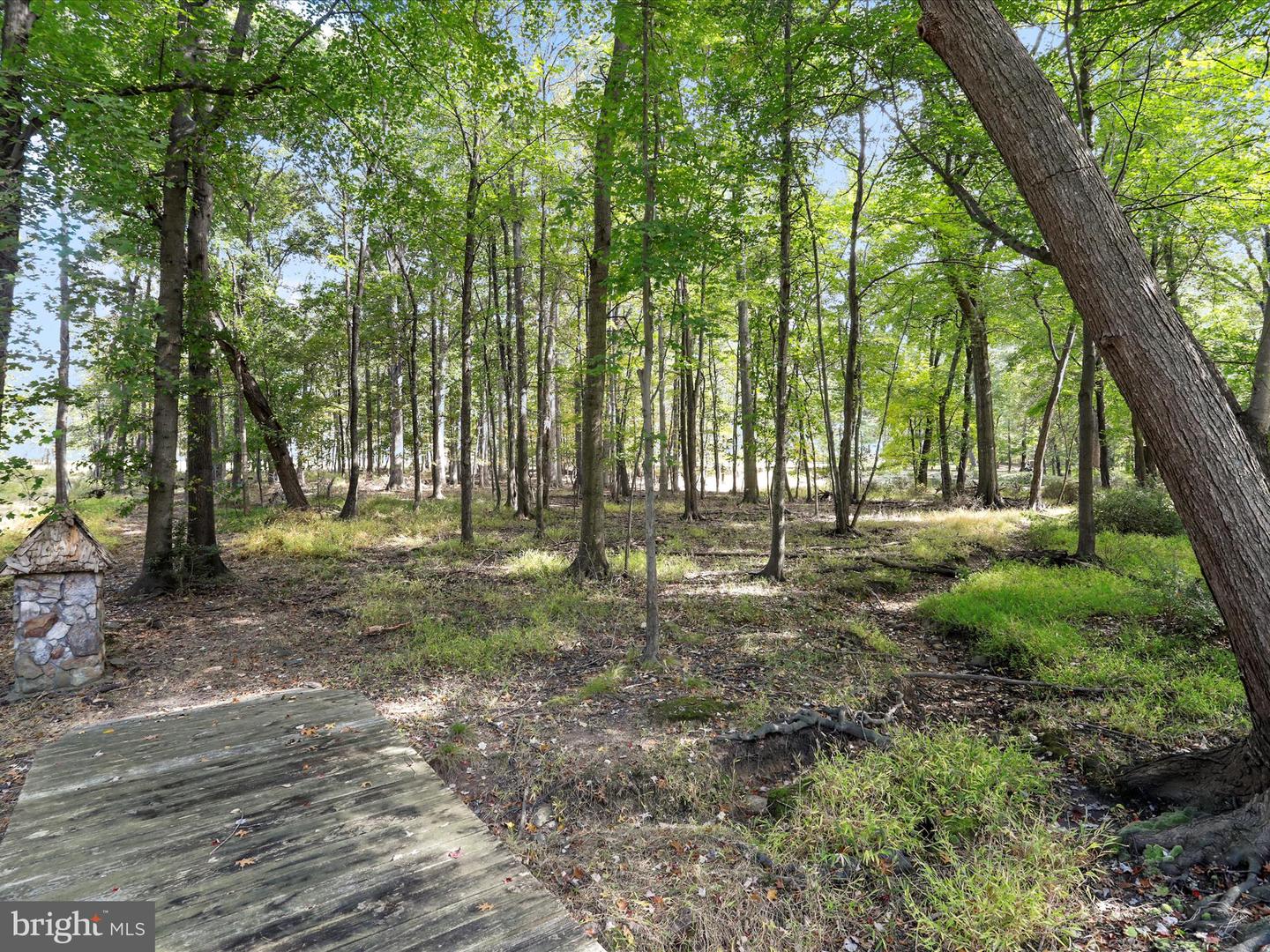 19935 FOGGY BOTTOM RD, BLUEMONT, Virginia 20135, 4 Bedrooms Bedrooms, ,3 BathroomsBathrooms,Residential,For sale,19935 FOGGY BOTTOM RD,VALO2109092 MLS # VALO2109092