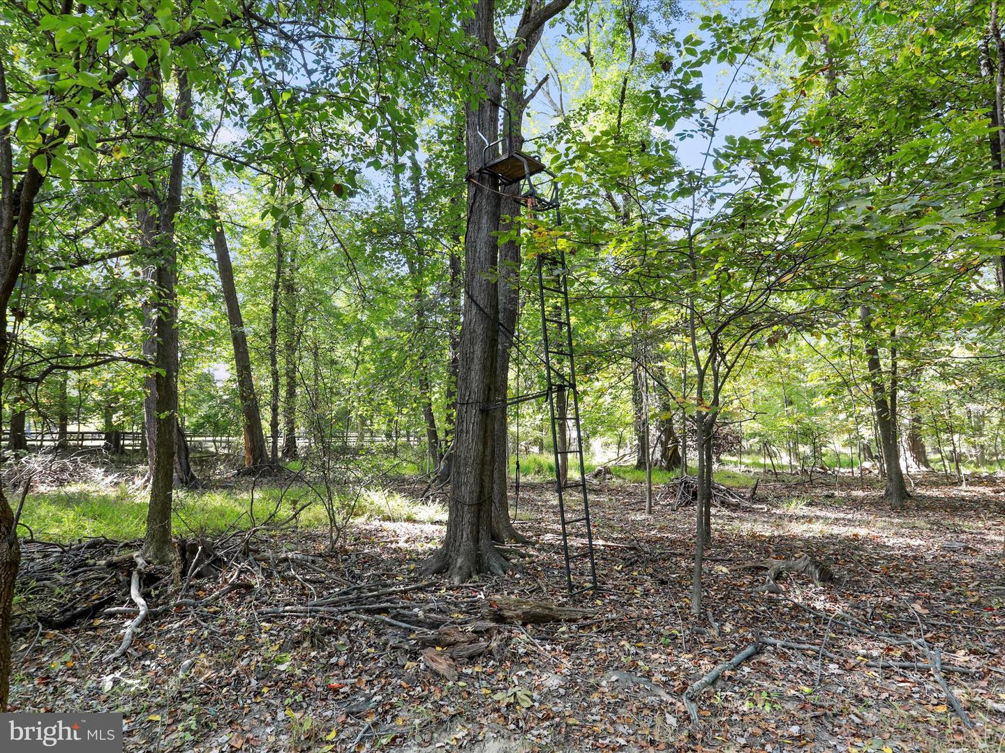 19935 FOGGY BOTTOM RD, BLUEMONT, Virginia 20135, 4 Bedrooms Bedrooms, ,3 BathroomsBathrooms,Residential,For sale,19935 FOGGY BOTTOM RD,VALO2109092 MLS # VALO2109092