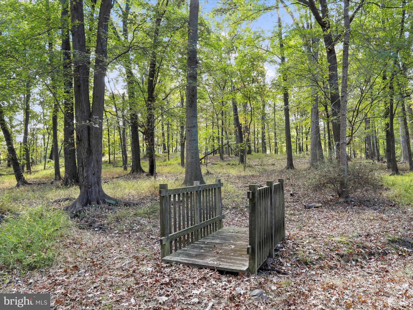 19935 FOGGY BOTTOM RD, BLUEMONT, Virginia 20135, 4 Bedrooms Bedrooms, ,3 BathroomsBathrooms,Residential,For sale,19935 FOGGY BOTTOM RD,VALO2109092 MLS # VALO2109092