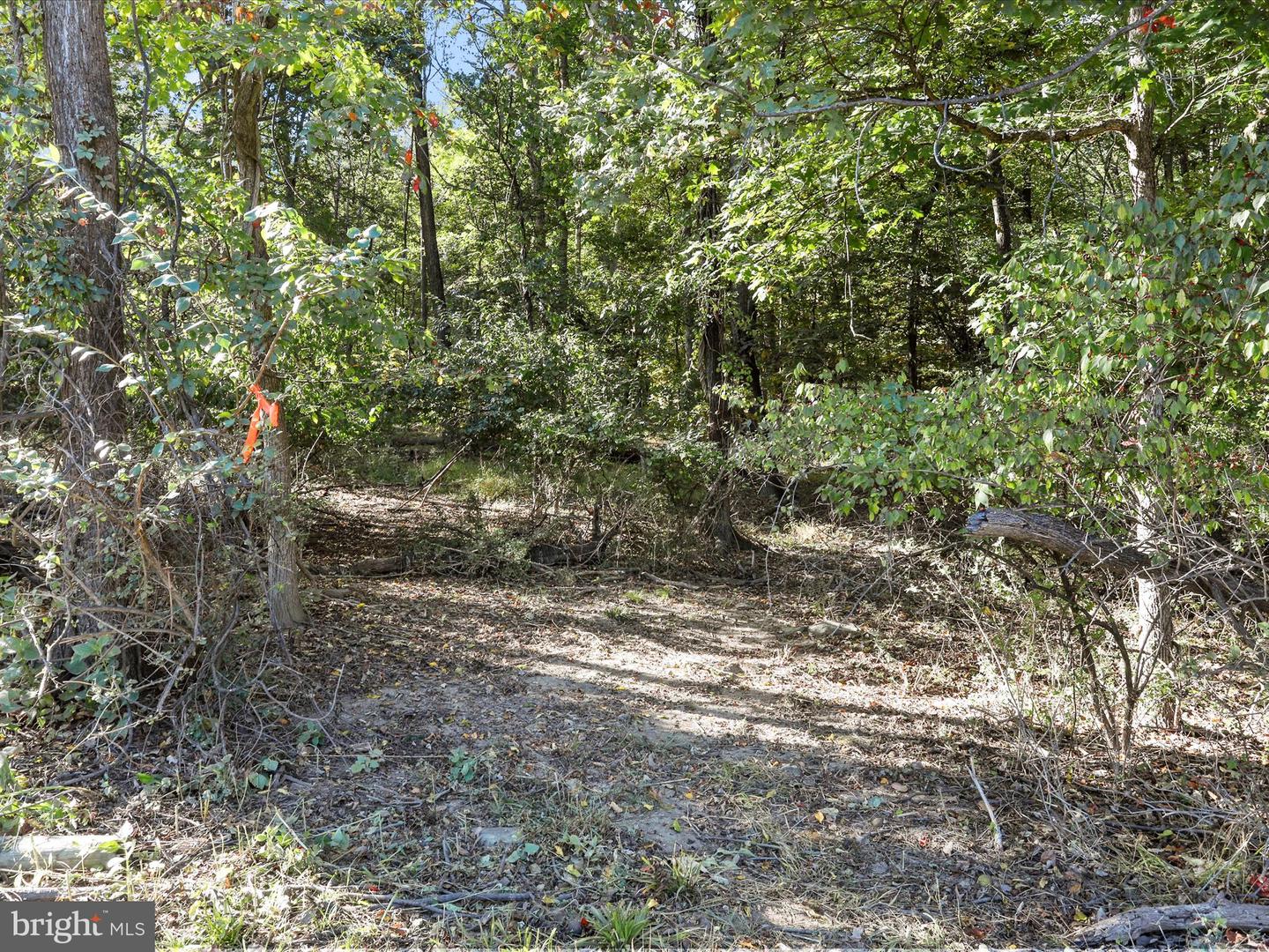 19935 FOGGY BOTTOM RD, BLUEMONT, Virginia 20135, 4 Bedrooms Bedrooms, ,3 BathroomsBathrooms,Residential,For sale,19935 FOGGY BOTTOM RD,VALO2109092 MLS # VALO2109092