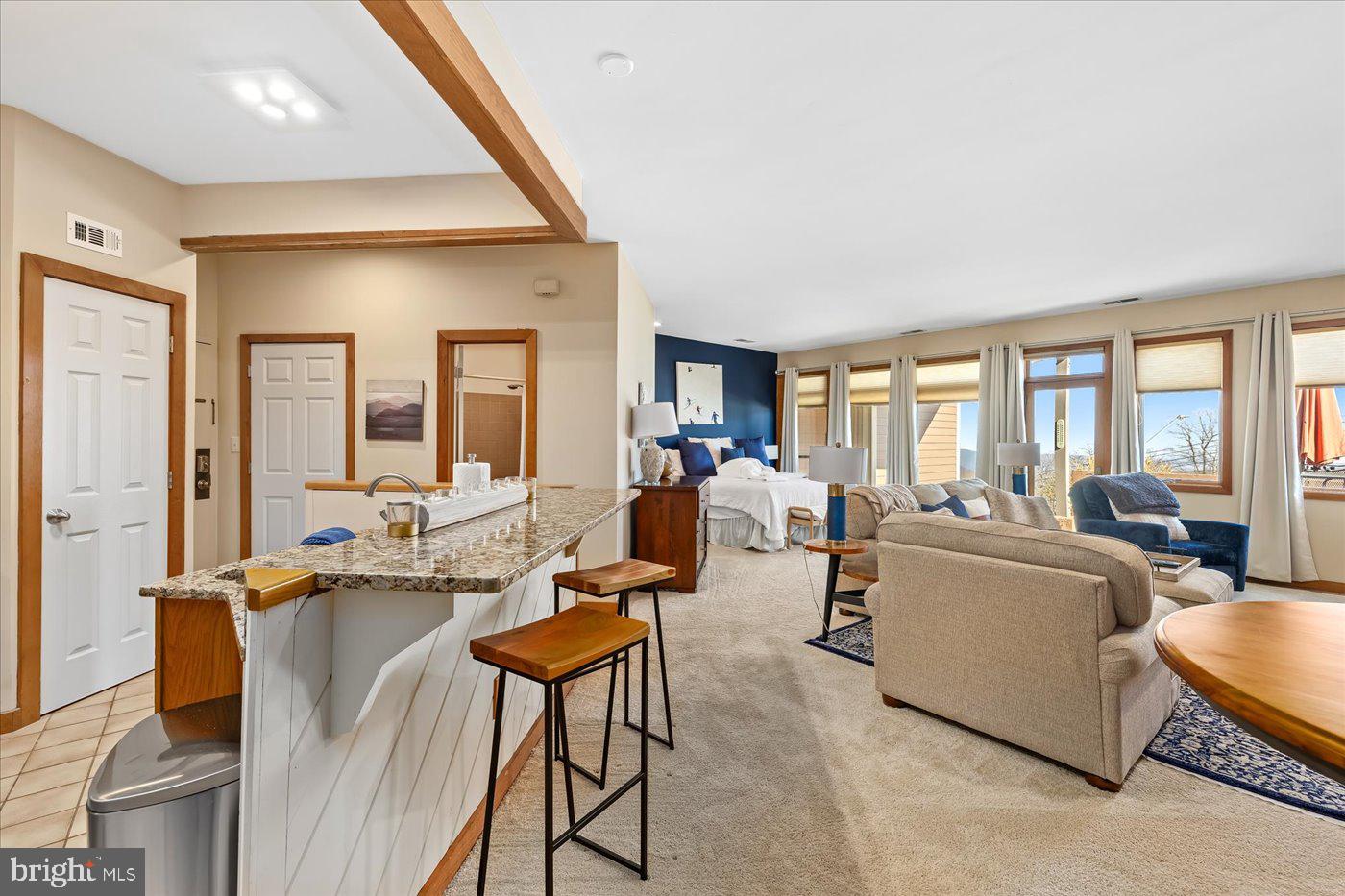 905 DIAMOND HILL, WINTERGREEN, Virginia 22967, 1 Bedroom Bedrooms, ,1 BathroomBathrooms,Residential,For sale,905 DIAMOND HILL,VANL2000598 MLS # VANL2000598