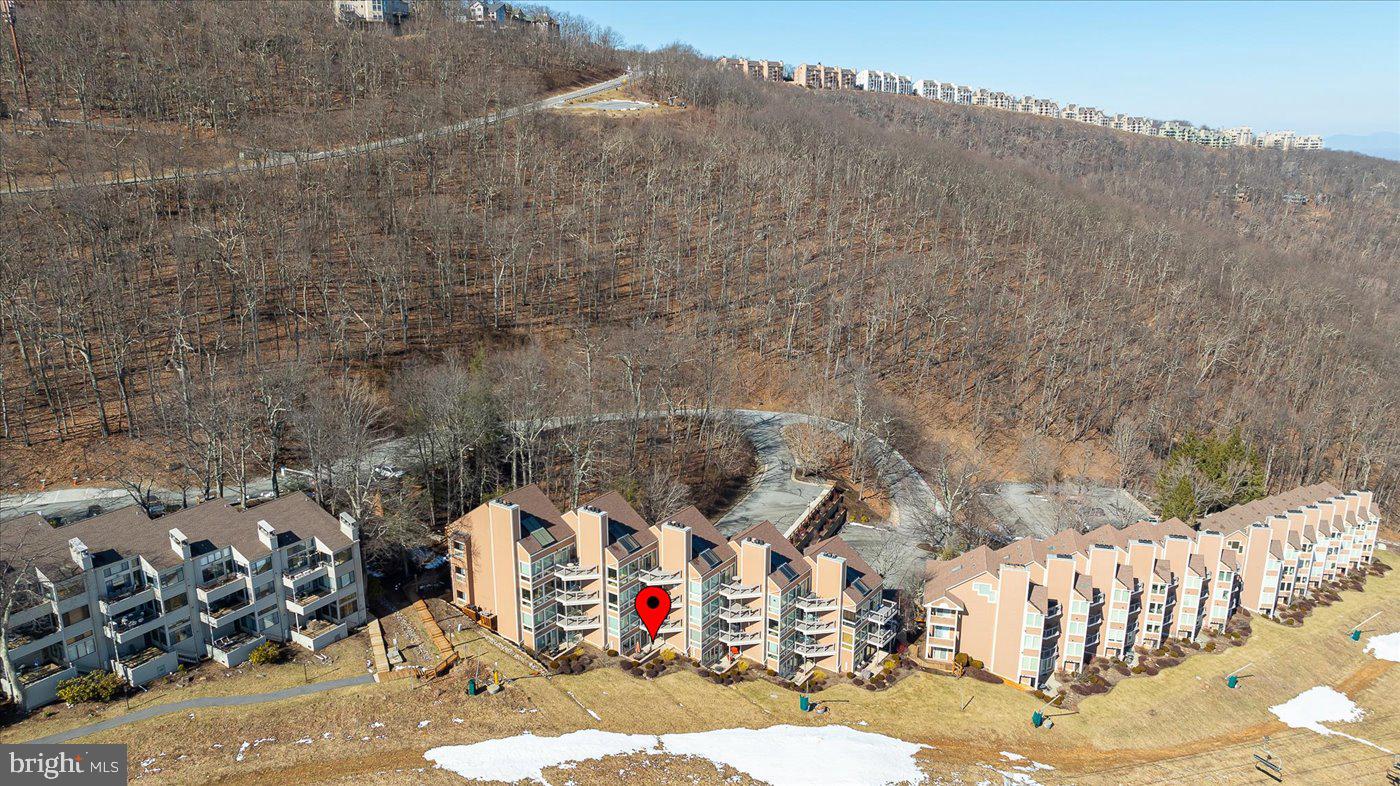 905 DIAMOND HILL, WINTERGREEN, Virginia 22967, 1 Bedroom Bedrooms, ,1 BathroomBathrooms,Residential,For sale,905 DIAMOND HILL,VANL2000598 MLS # VANL2000598