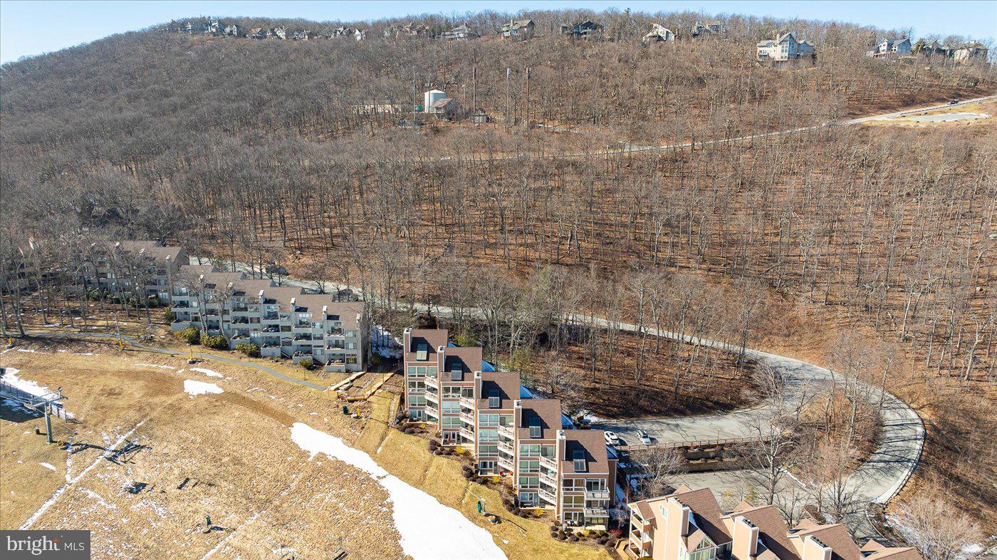 905 DIAMOND HILL, WINTERGREEN, Virginia 22967, 1 Bedroom Bedrooms, ,1 BathroomBathrooms,Residential,For sale,905 DIAMOND HILL,VANL2000598 MLS # VANL2000598