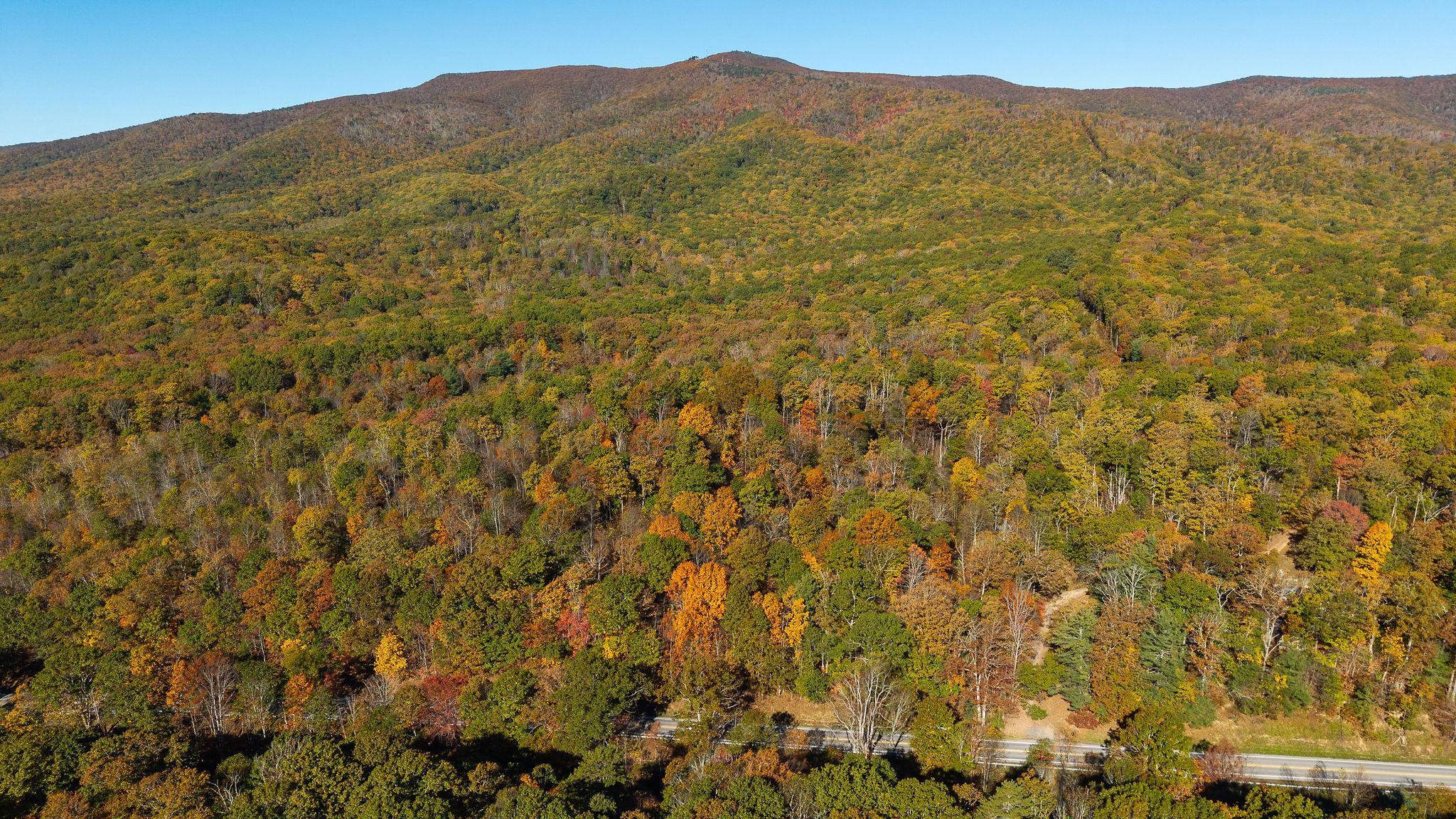 TBD BUFFALO GAP HWY, SWOOPE, Virginia 24479, ,Land,TBD BUFFALO GAP HWY,670158 MLS # 670158