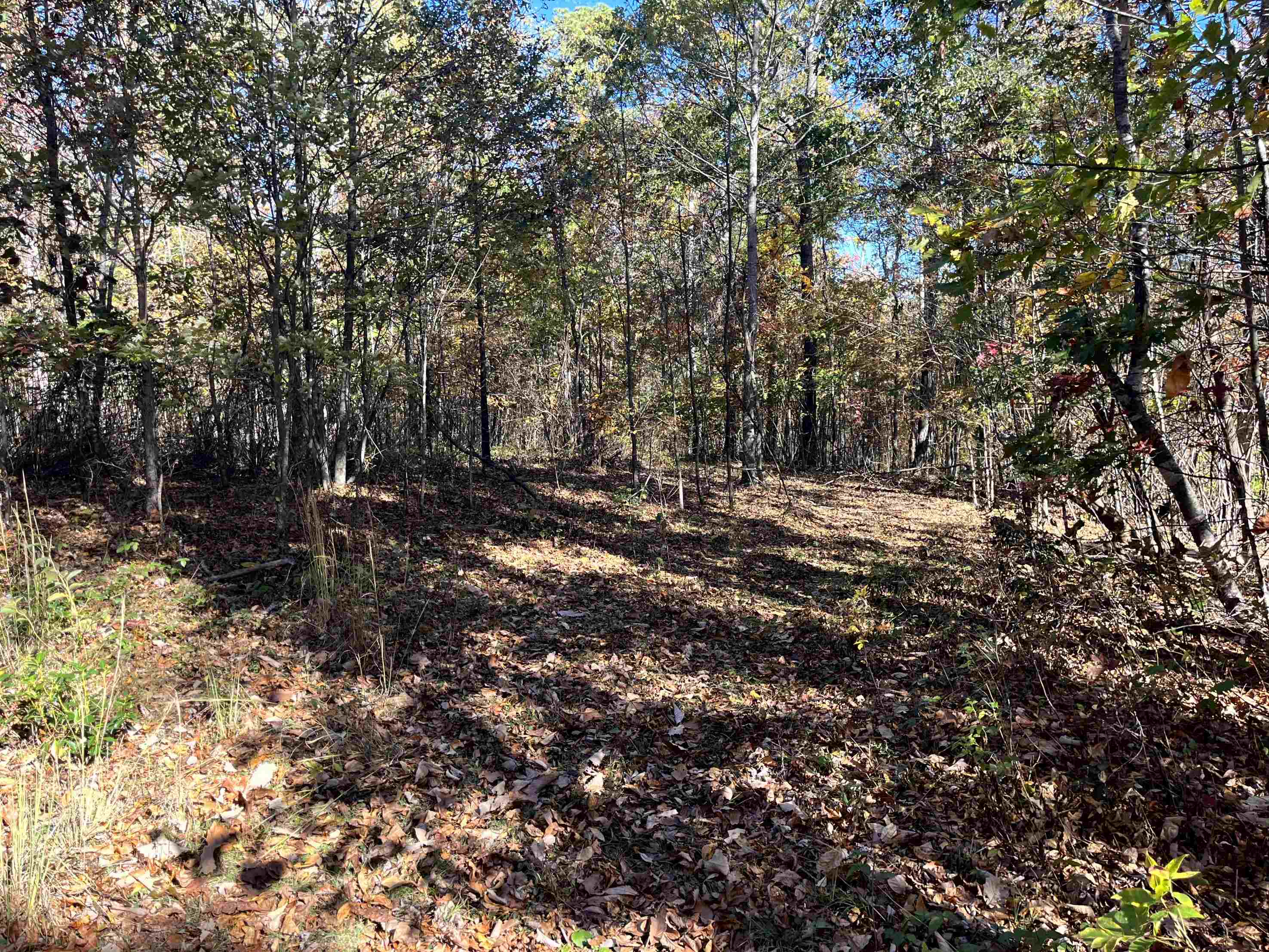 TBD BUFFALO GAP HWY, SWOOPE, Virginia 24479, ,Land,TBD BUFFALO GAP HWY,670158 MLS # 670158