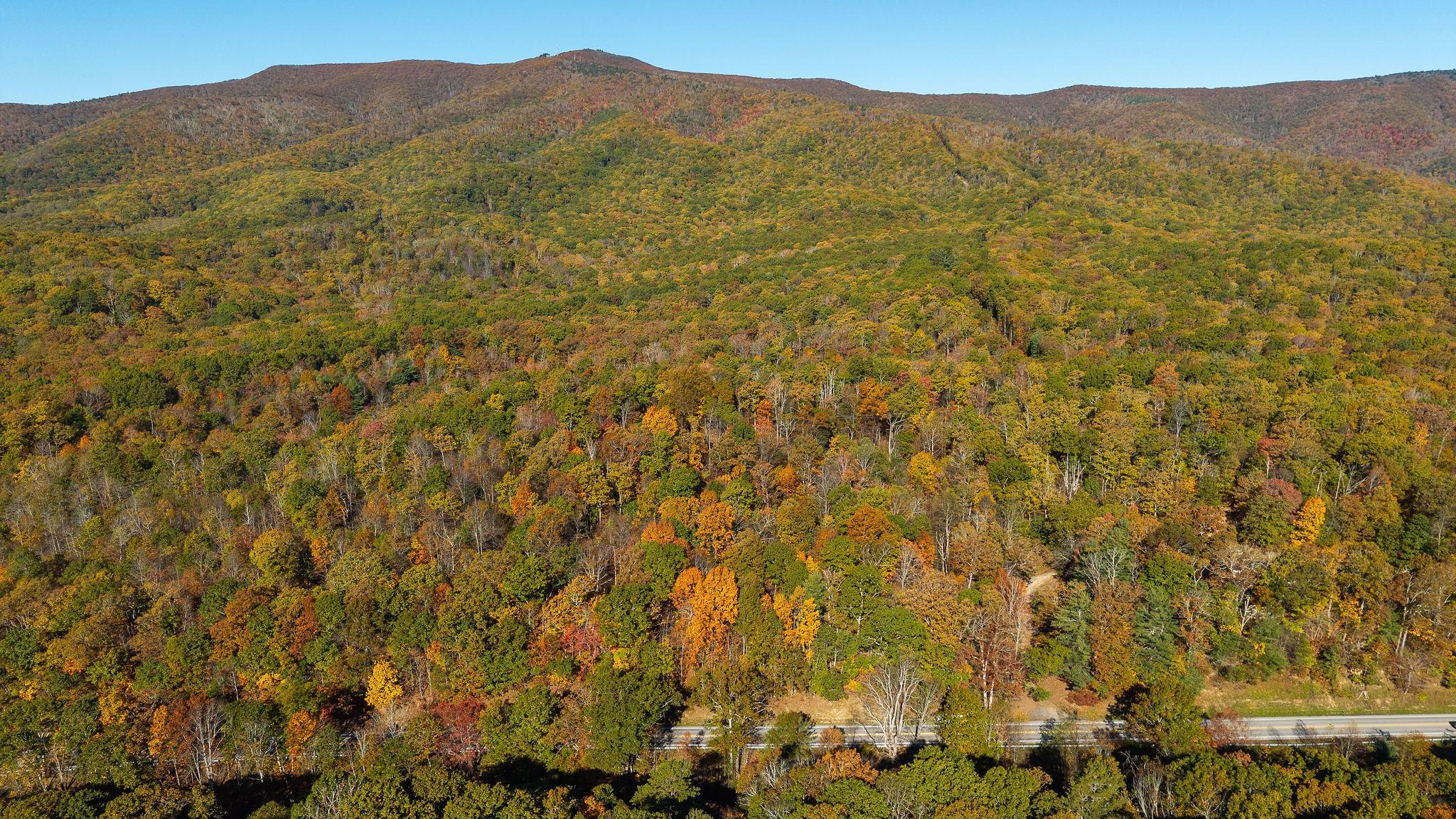 TBD BUFFALO GAP HWY, SWOOPE, Virginia 24479, ,Land,TBD BUFFALO GAP HWY,670158 MLS # 670158