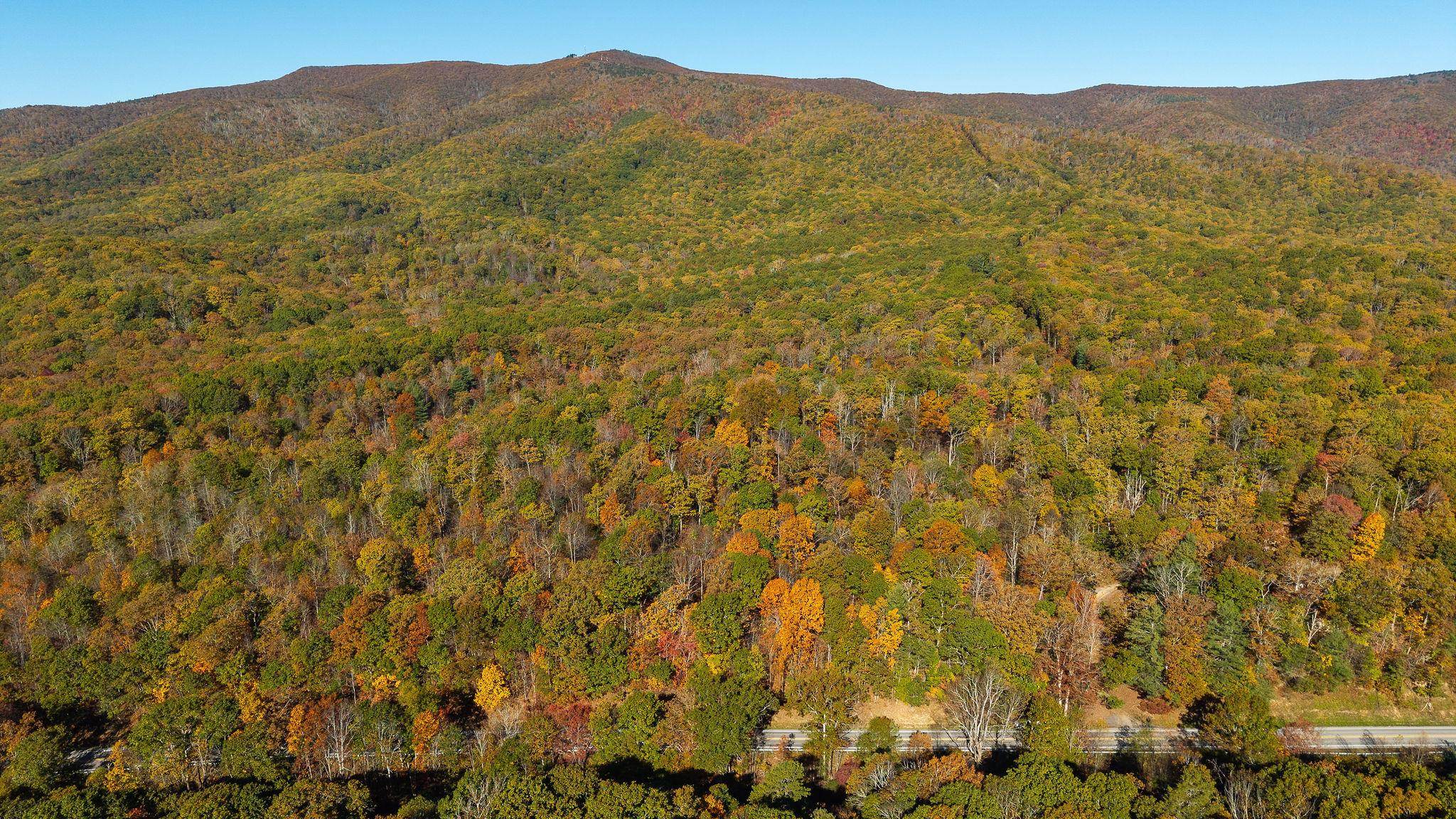 TBD BUFFALO GAP HWY, SWOOPE, Virginia 24479, ,Land,TBD BUFFALO GAP HWY,670158 MLS # 670158