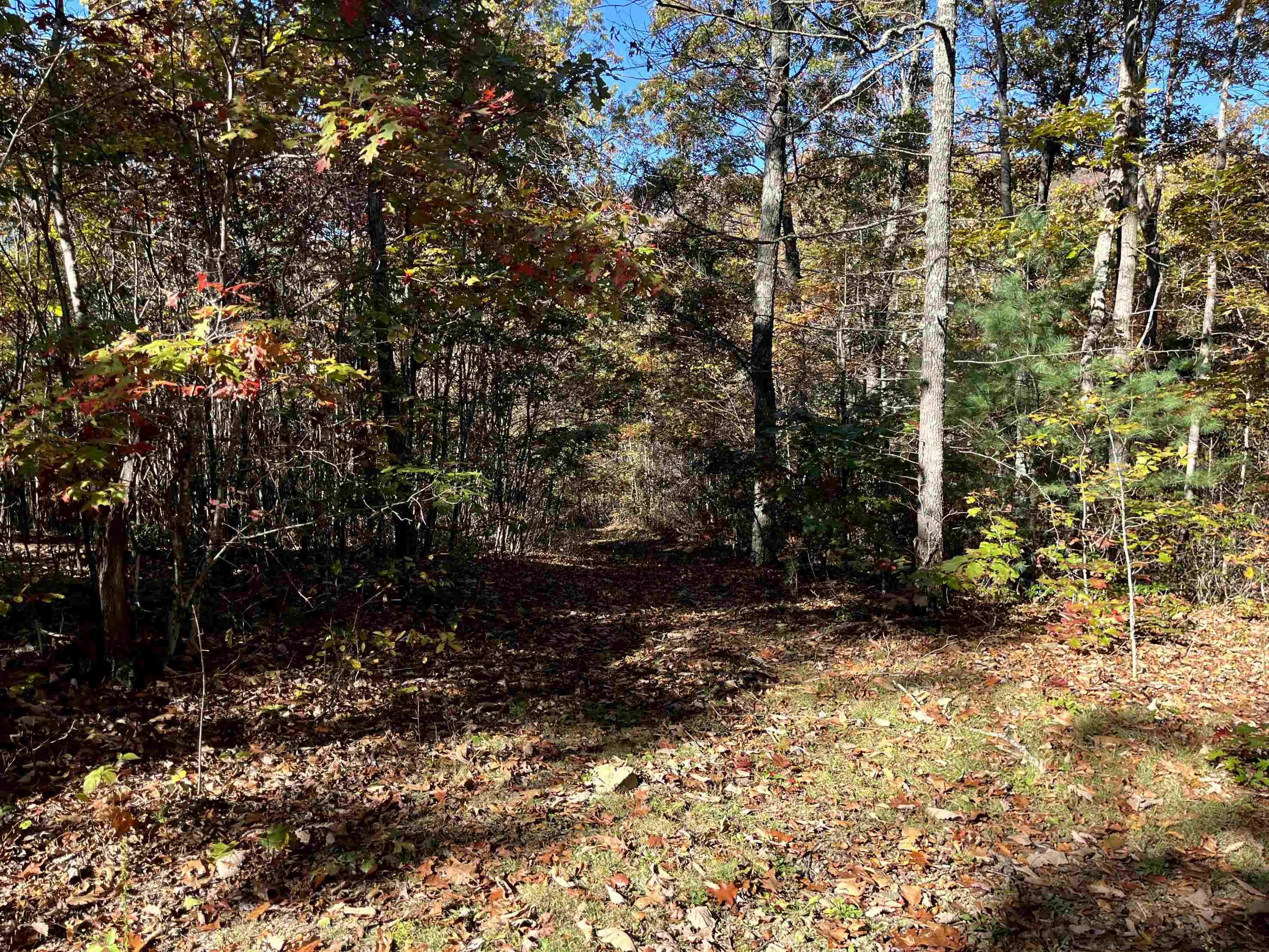 TBD BUFFALO GAP HWY, SWOOPE, Virginia 24479, ,Land,TBD BUFFALO GAP HWY,670158 MLS # 670158