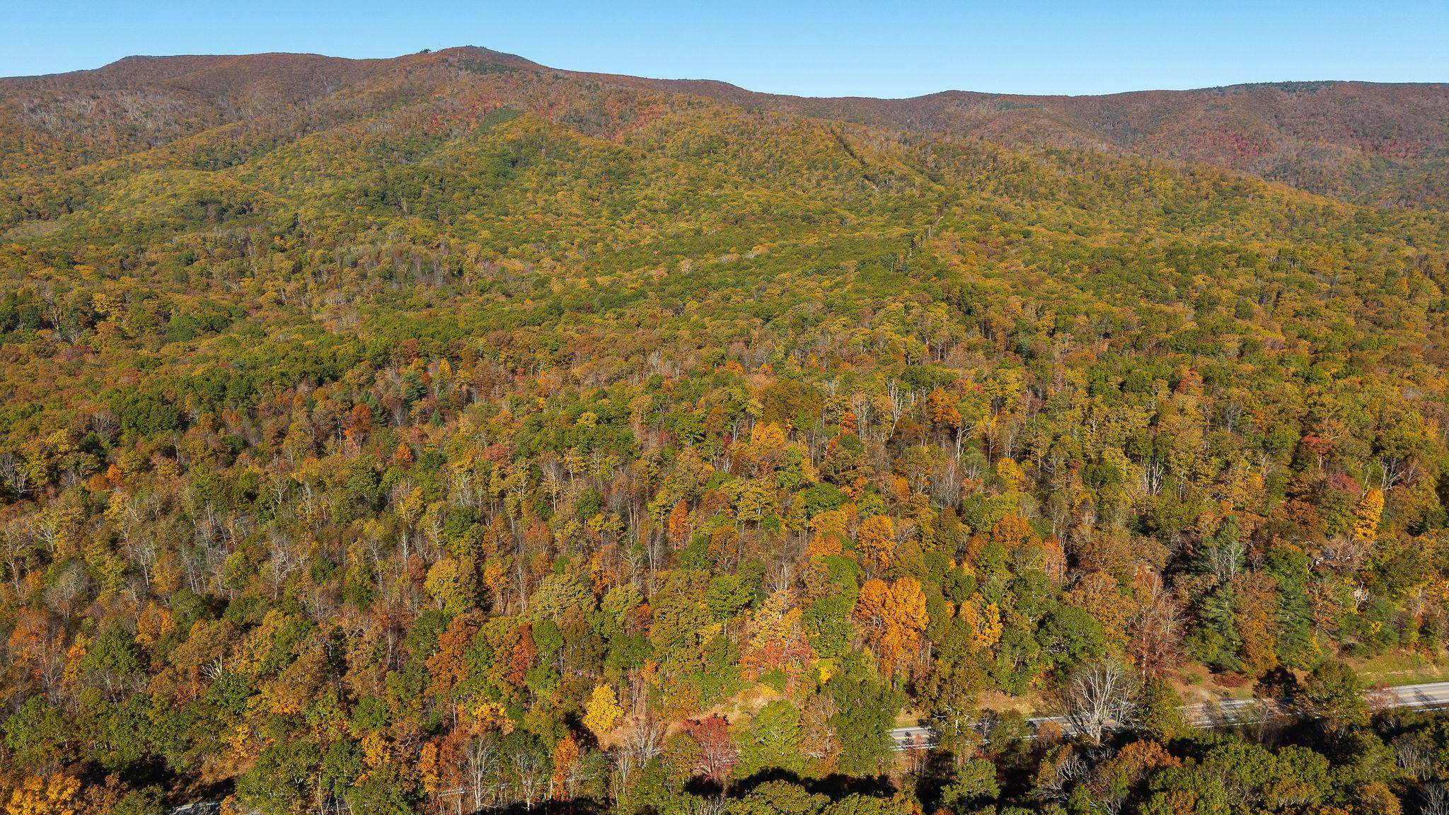 TBD BUFFALO GAP HWY, SWOOPE, Virginia 24479, ,Land,TBD BUFFALO GAP HWY,670158 MLS # 670158
