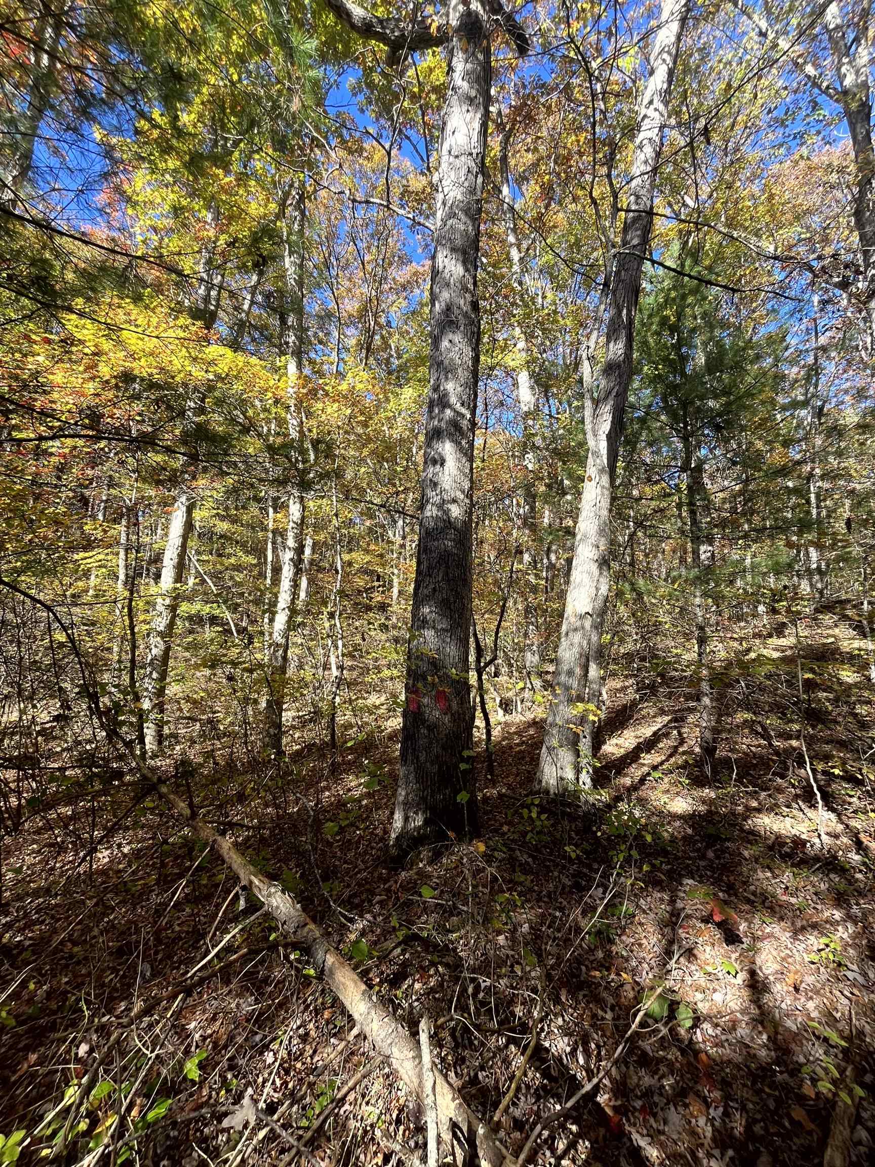 TBD BUFFALO GAP HWY, SWOOPE, Virginia 24479, ,Land,TBD BUFFALO GAP HWY,670158 MLS # 670158