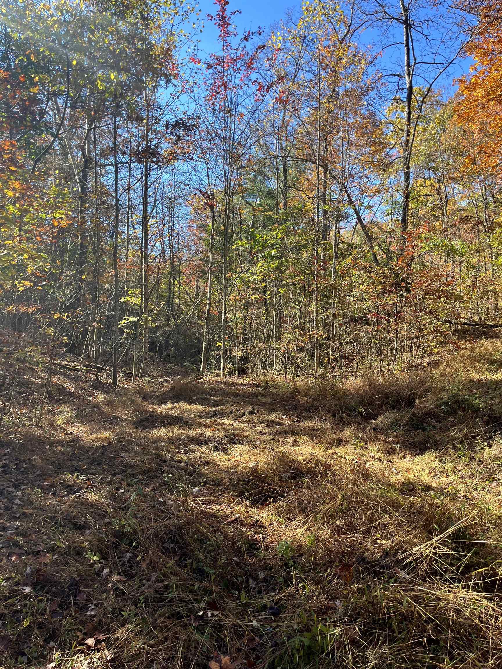 TBD BUFFALO GAP HWY, SWOOPE, Virginia 24479, ,Land,TBD BUFFALO GAP HWY,670158 MLS # 670158