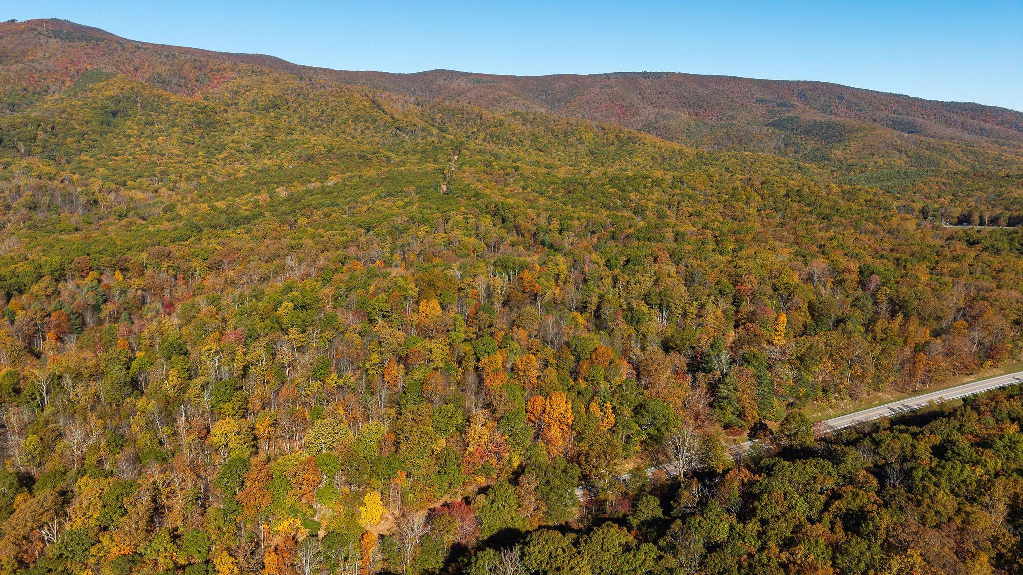 TBD BUFFALO GAP HWY, SWOOPE, Virginia 24479, ,Land,TBD BUFFALO GAP HWY,670158 MLS # 670158
