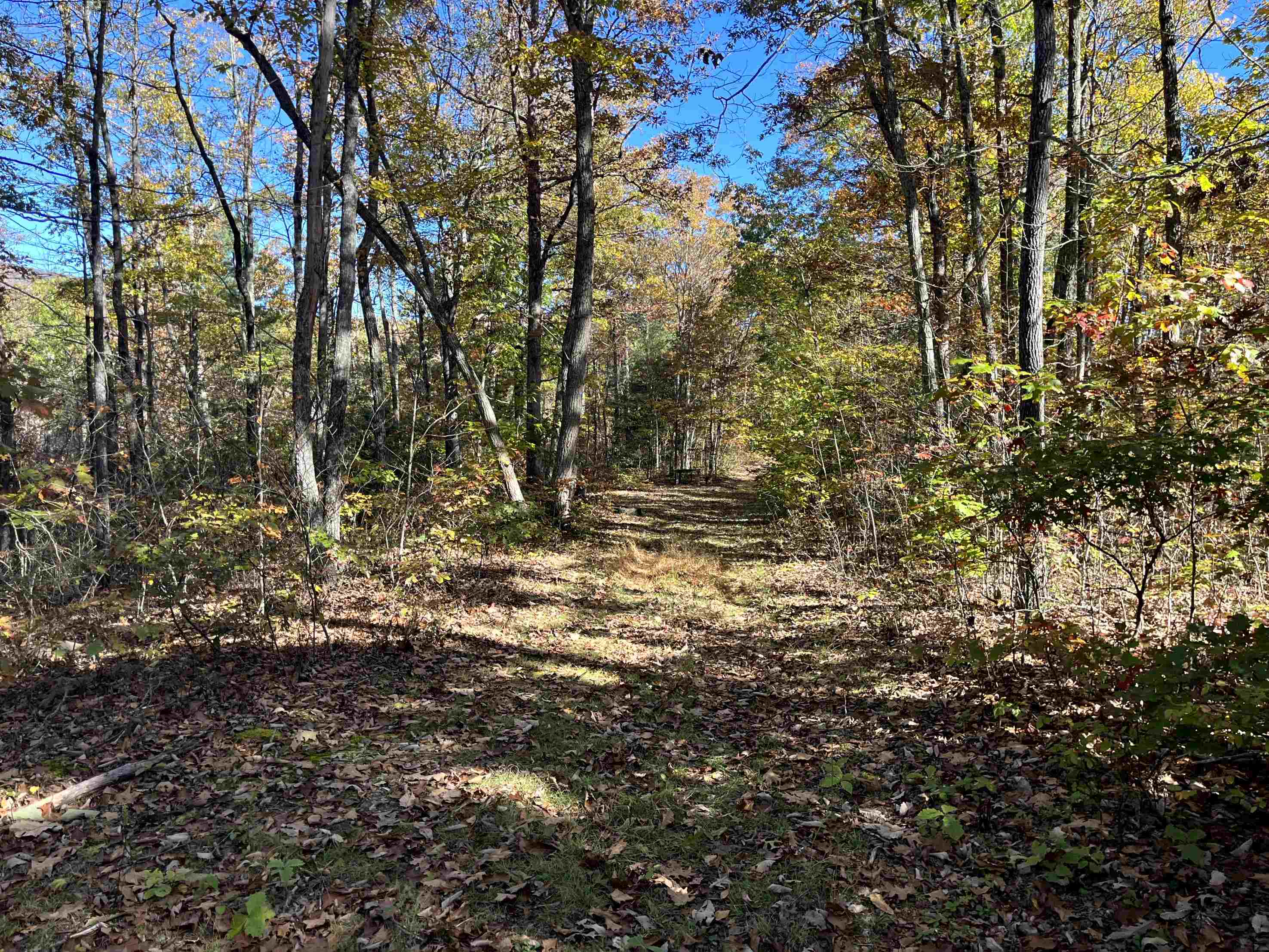 TBD BUFFALO GAP HWY, SWOOPE, Virginia 24479, ,Land,TBD BUFFALO GAP HWY,670158 MLS # 670158