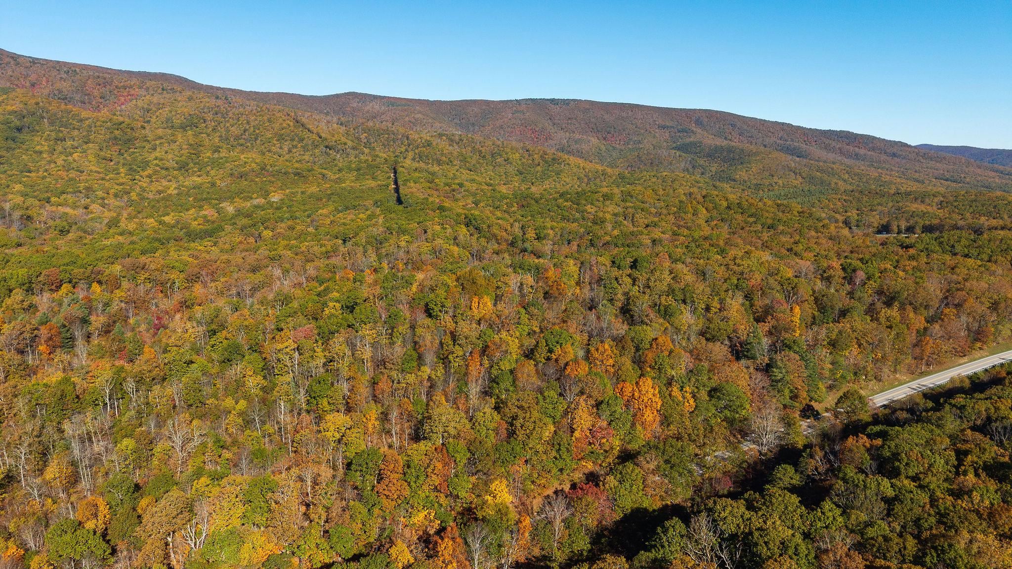TBD BUFFALO GAP HWY, SWOOPE, Virginia 24479, ,Land,TBD BUFFALO GAP HWY,670158 MLS # 670158