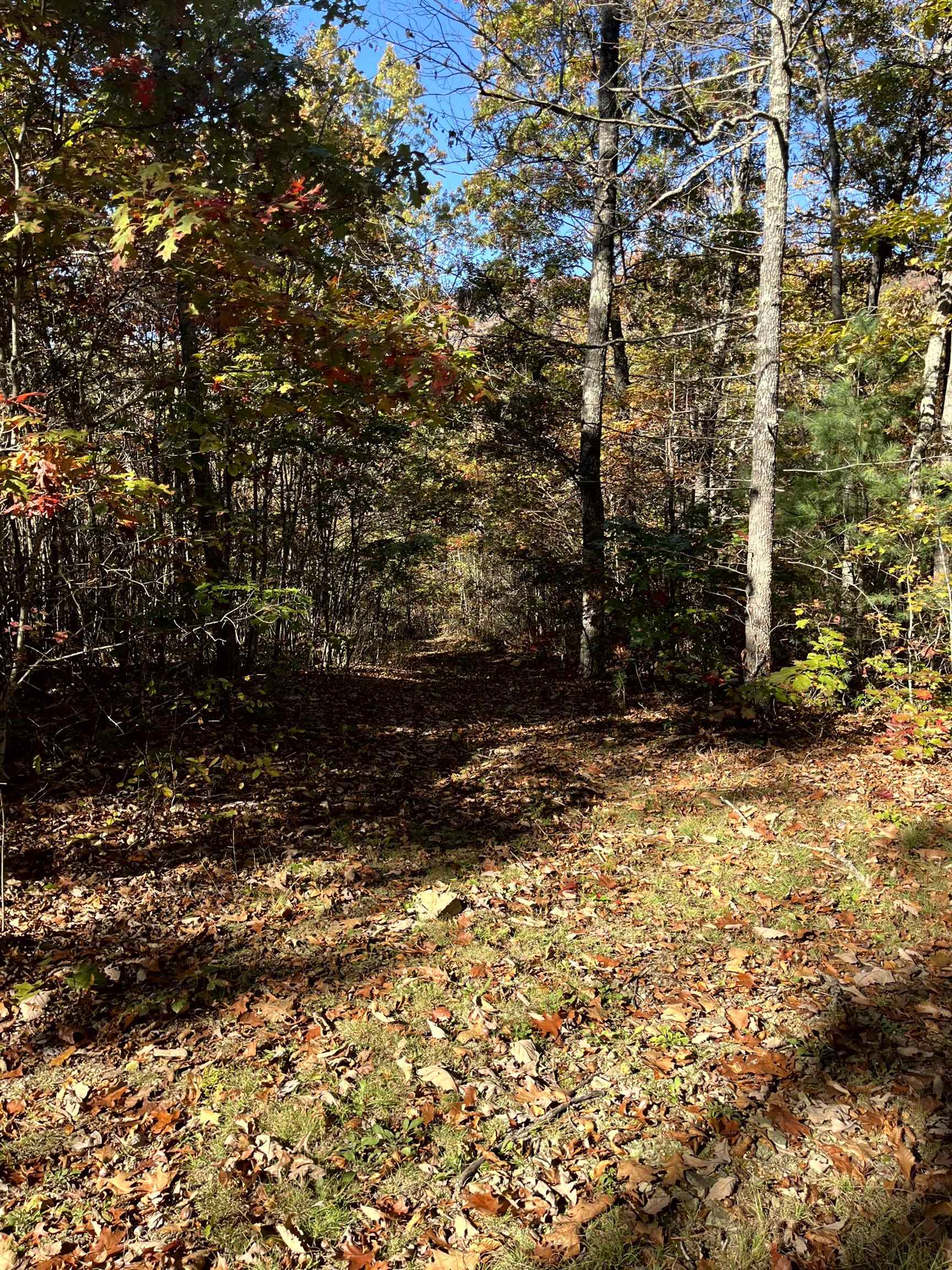 TBD BUFFALO GAP HWY, SWOOPE, Virginia 24479, ,Land,TBD BUFFALO GAP HWY,670158 MLS # 670158