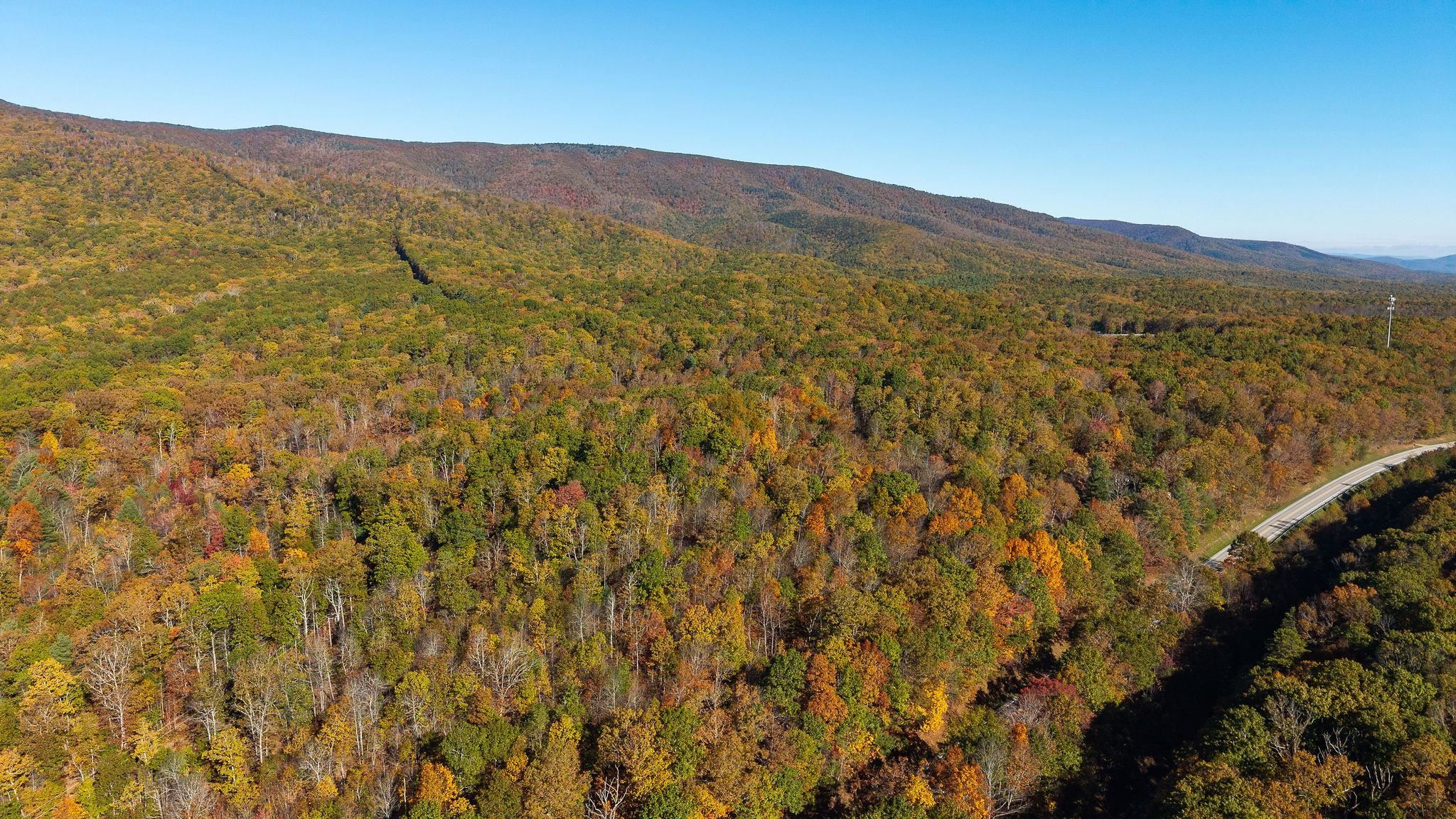 TBD BUFFALO GAP HWY, SWOOPE, Virginia 24479, ,Land,TBD BUFFALO GAP HWY,670158 MLS # 670158