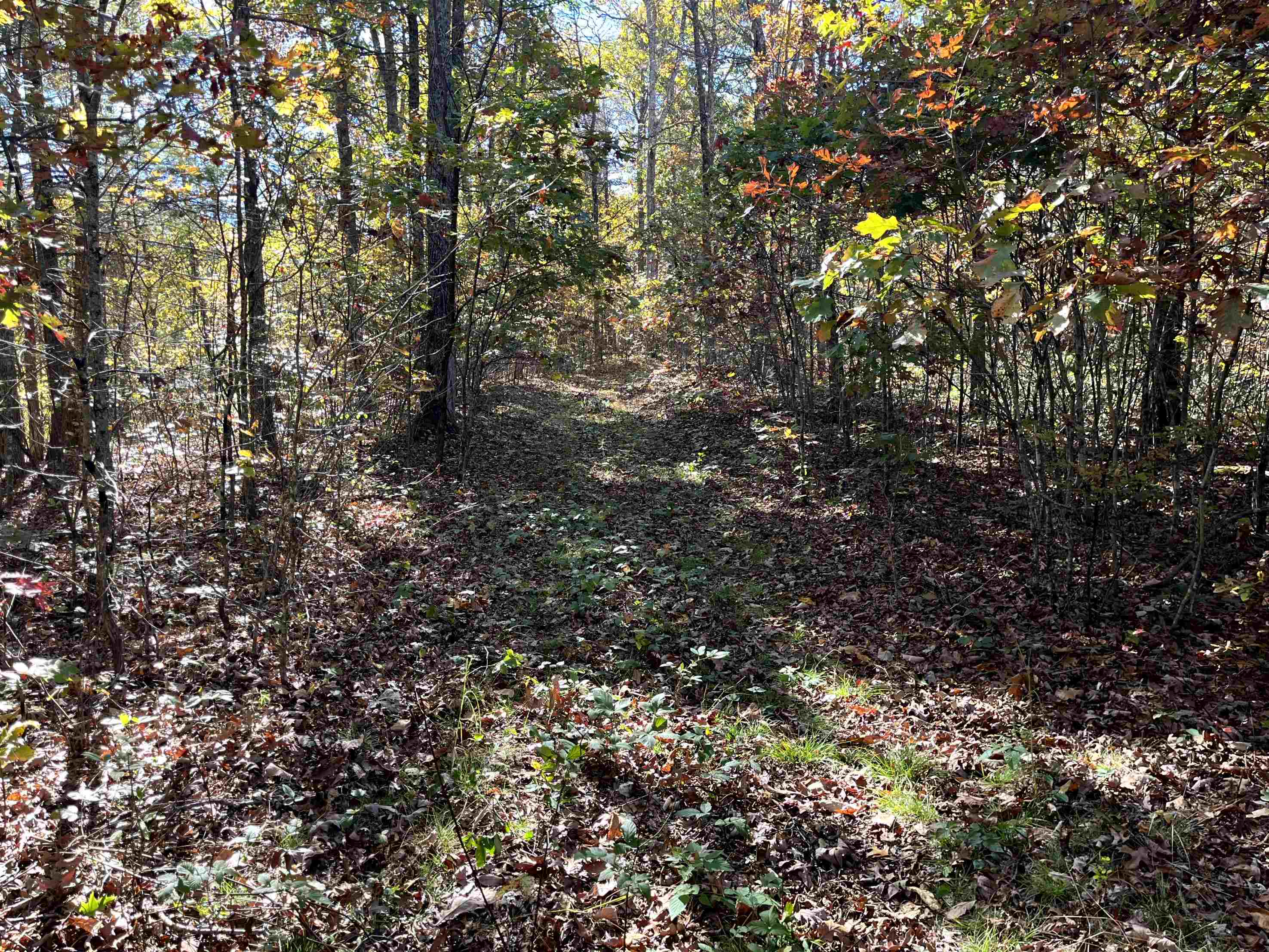 TBD BUFFALO GAP HWY, SWOOPE, Virginia 24479, ,Land,TBD BUFFALO GAP HWY,670158 MLS # 670158