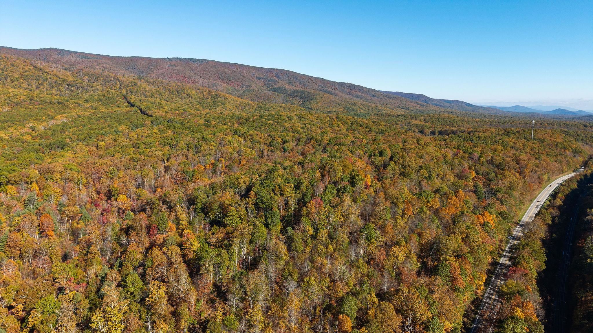 TBD BUFFALO GAP HWY, SWOOPE, Virginia 24479, ,Land,TBD BUFFALO GAP HWY,670158 MLS # 670158