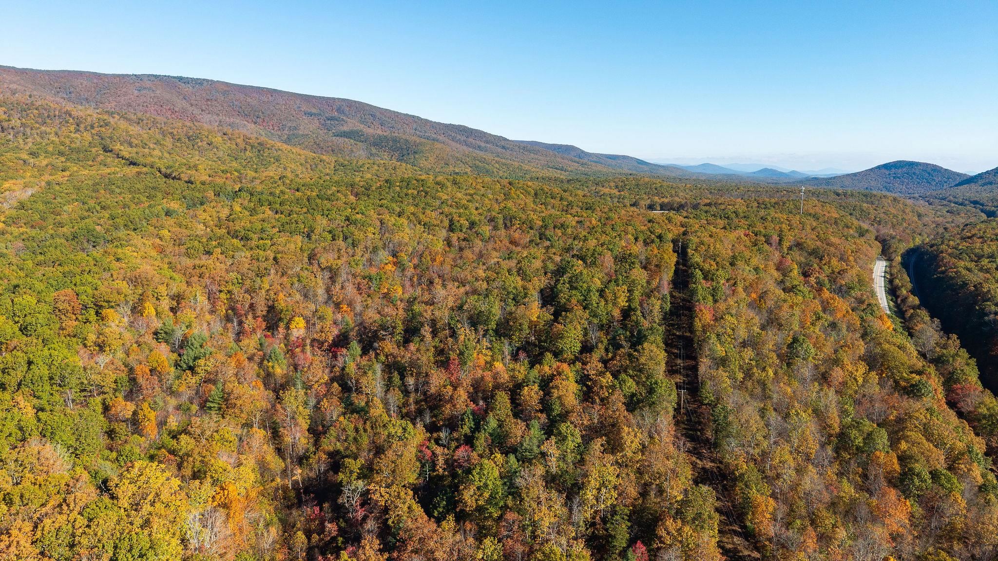 TBD BUFFALO GAP HWY, SWOOPE, Virginia 24479, ,Land,TBD BUFFALO GAP HWY,670158 MLS # 670158
