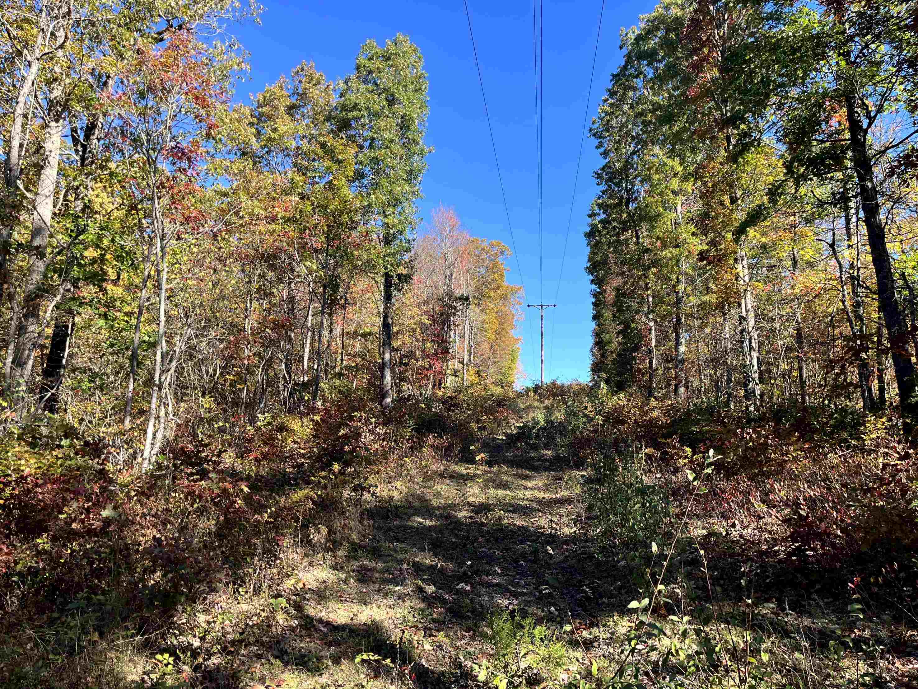 TBD BUFFALO GAP HWY, SWOOPE, Virginia 24479, ,Land,TBD BUFFALO GAP HWY,670158 MLS # 670158