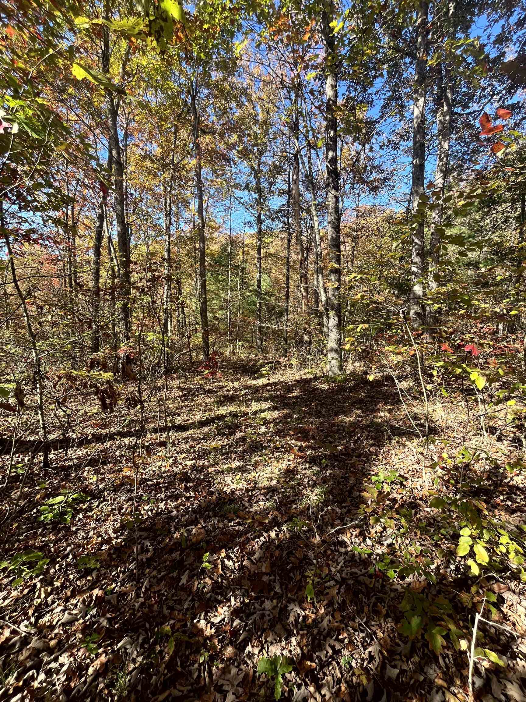 TBD BUFFALO GAP HWY, SWOOPE, Virginia 24479, ,Land,TBD BUFFALO GAP HWY,670158 MLS # 670158