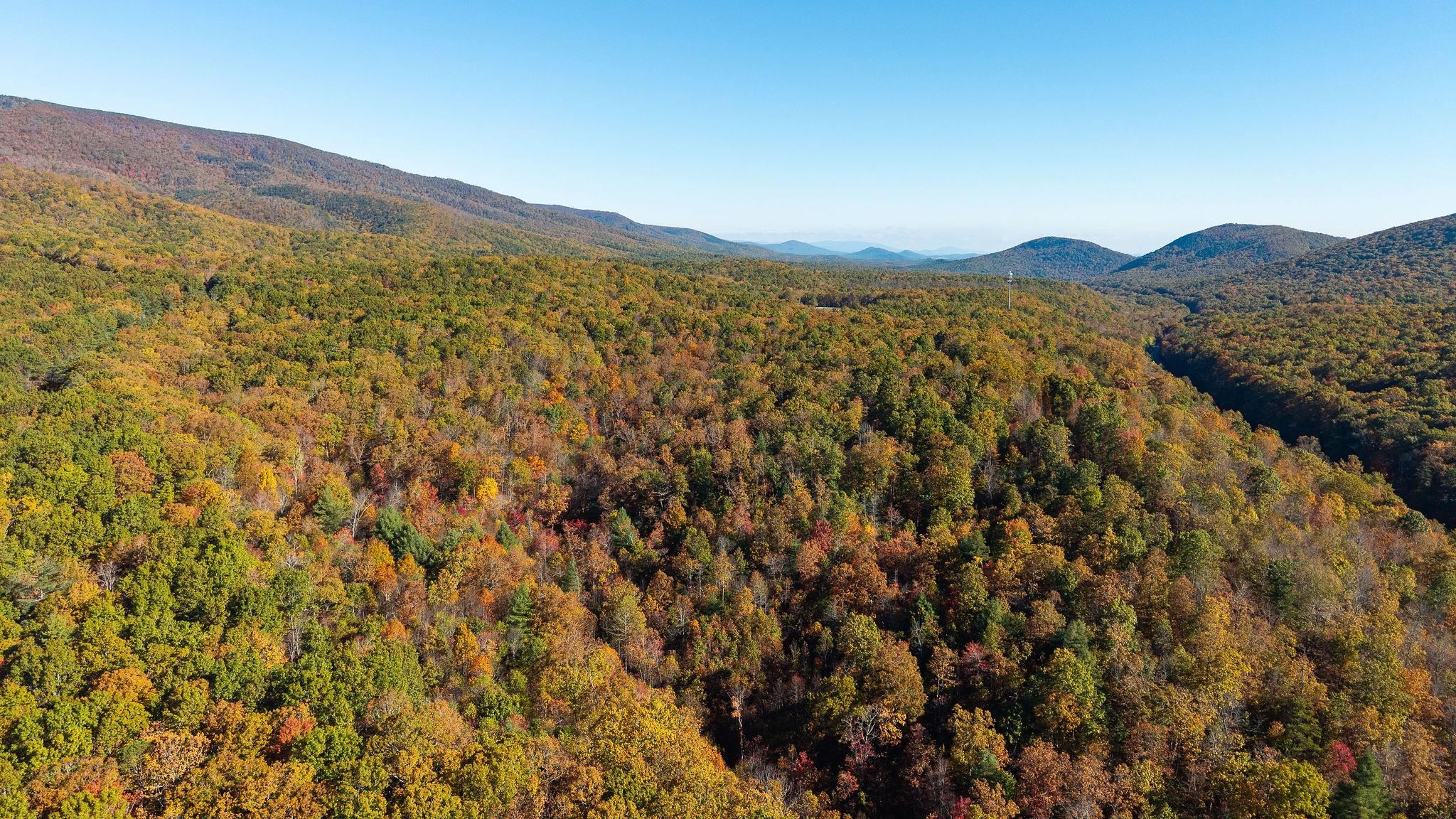 TBD BUFFALO GAP HWY, SWOOPE, Virginia 24479, ,Land,TBD BUFFALO GAP HWY,670158 MLS # 670158