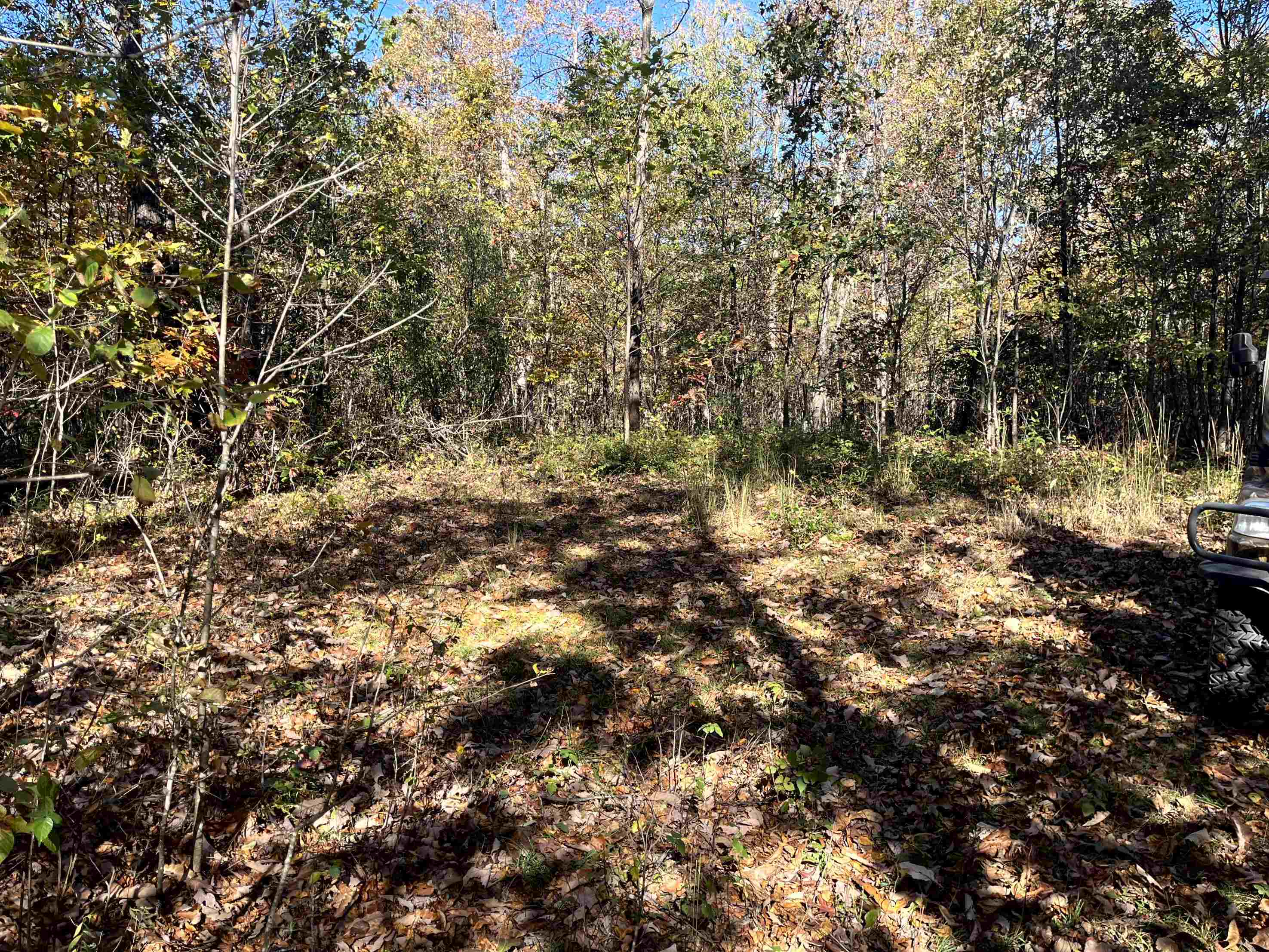 TBD BUFFALO GAP HWY, SWOOPE, Virginia 24479, ,Land,TBD BUFFALO GAP HWY,670158 MLS # 670158