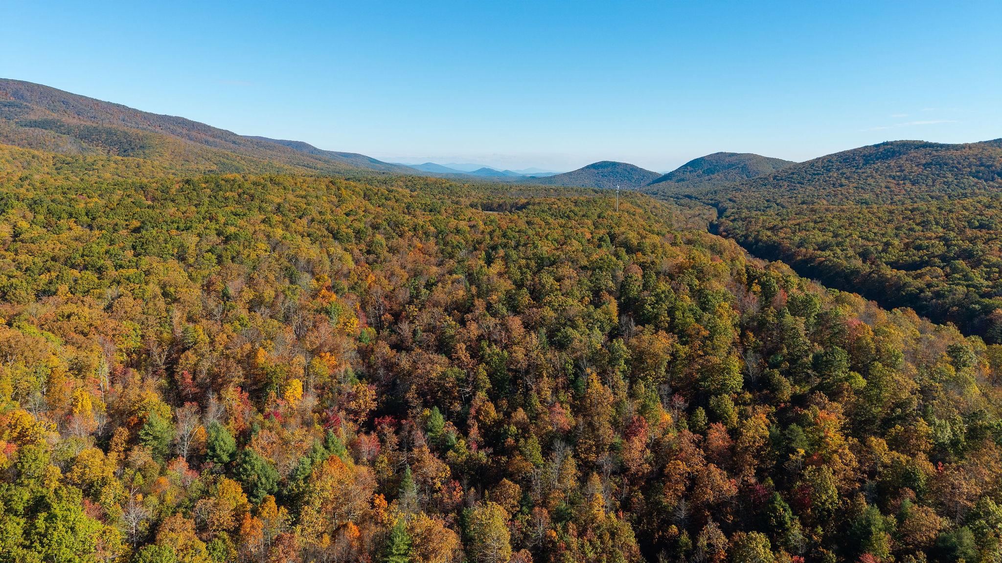 TBD BUFFALO GAP HWY, SWOOPE, Virginia 24479, ,Land,TBD BUFFALO GAP HWY,670158 MLS # 670158