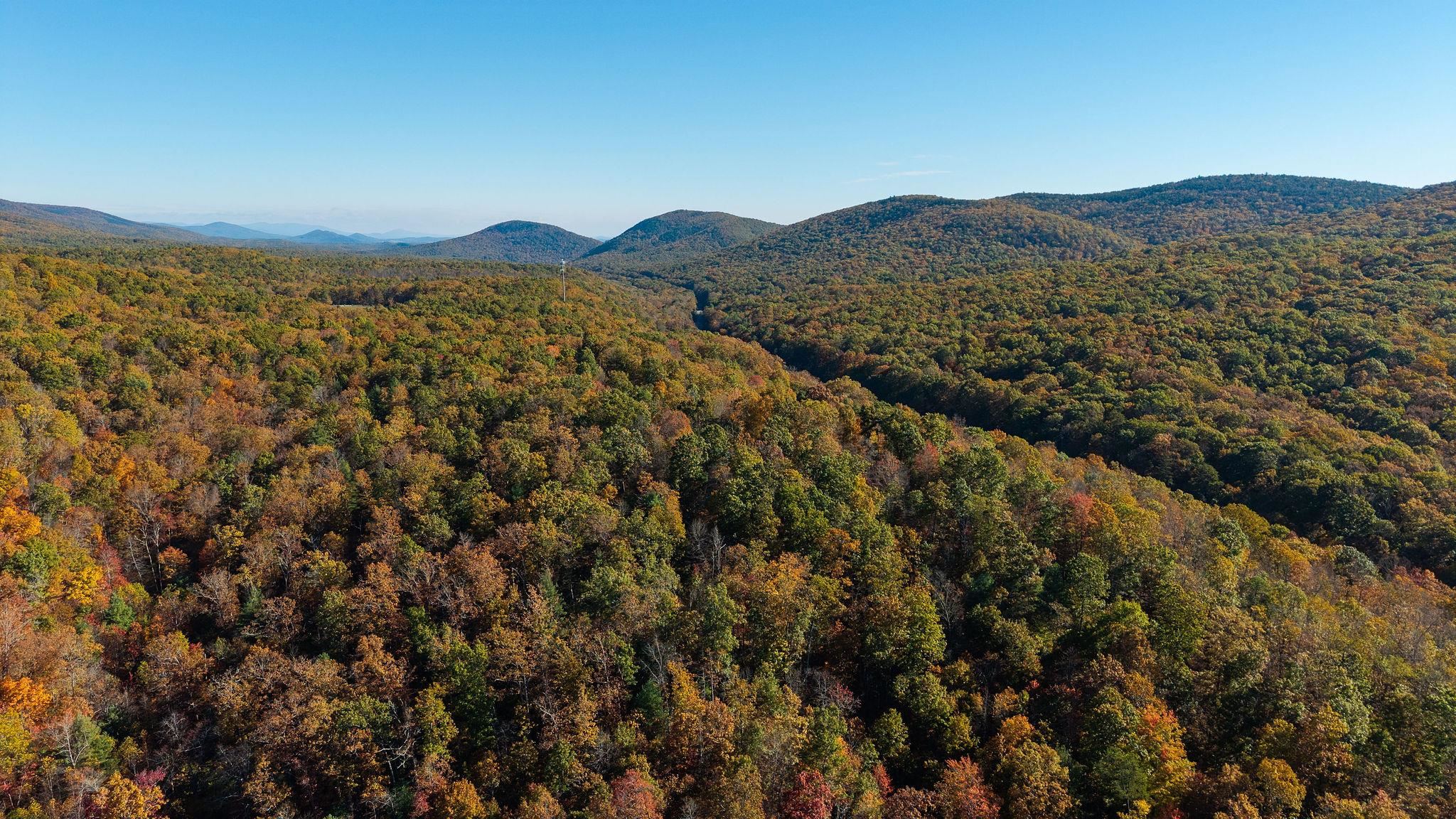 TBD BUFFALO GAP HWY, SWOOPE, Virginia 24479, ,Land,TBD BUFFALO GAP HWY,670158 MLS # 670158