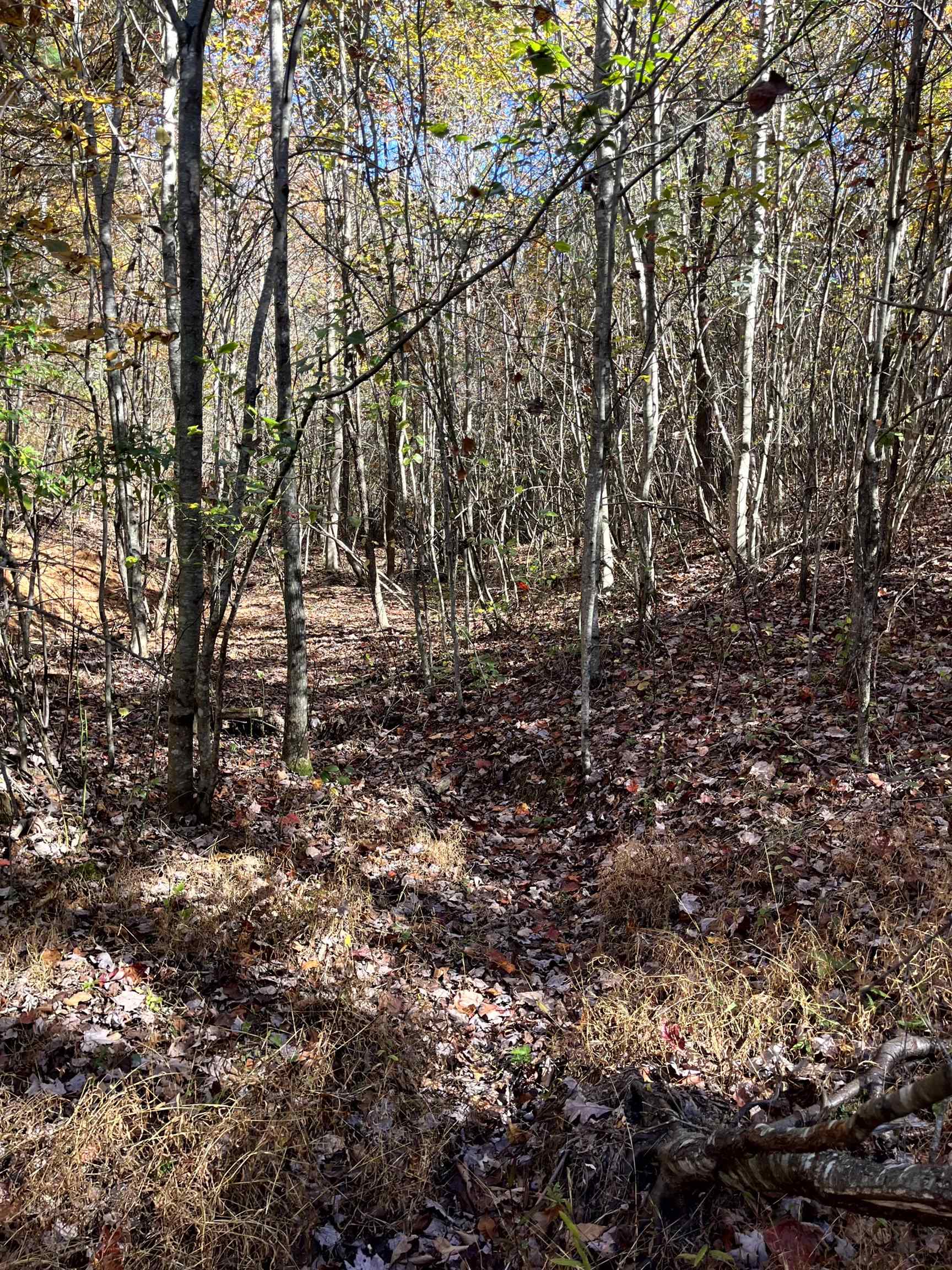 TBD BUFFALO GAP HWY, SWOOPE, Virginia 24479, ,Land,TBD BUFFALO GAP HWY,670158 MLS # 670158