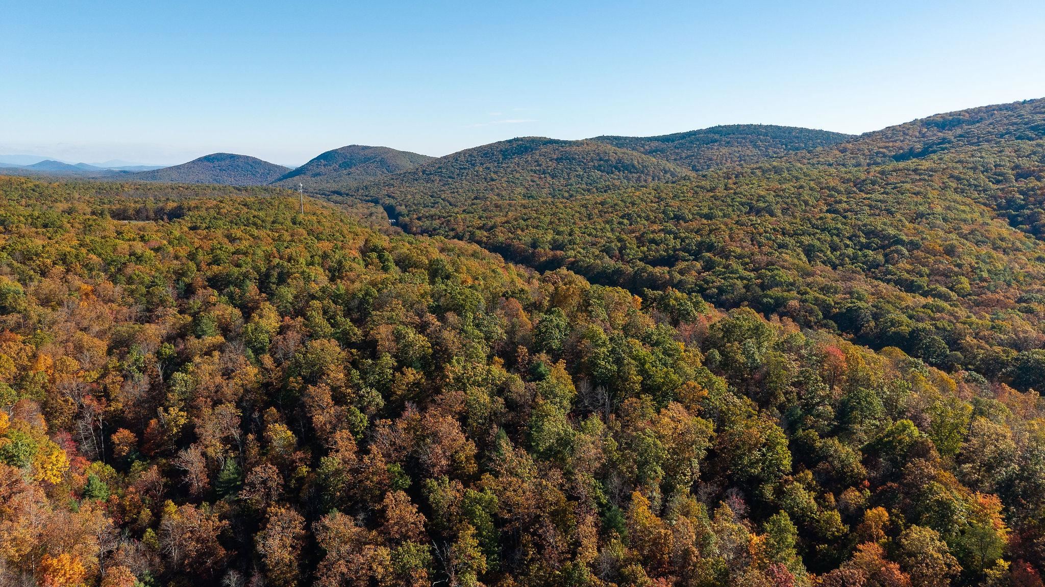 TBD BUFFALO GAP HWY, SWOOPE, Virginia 24479, ,Land,TBD BUFFALO GAP HWY,670158 MLS # 670158