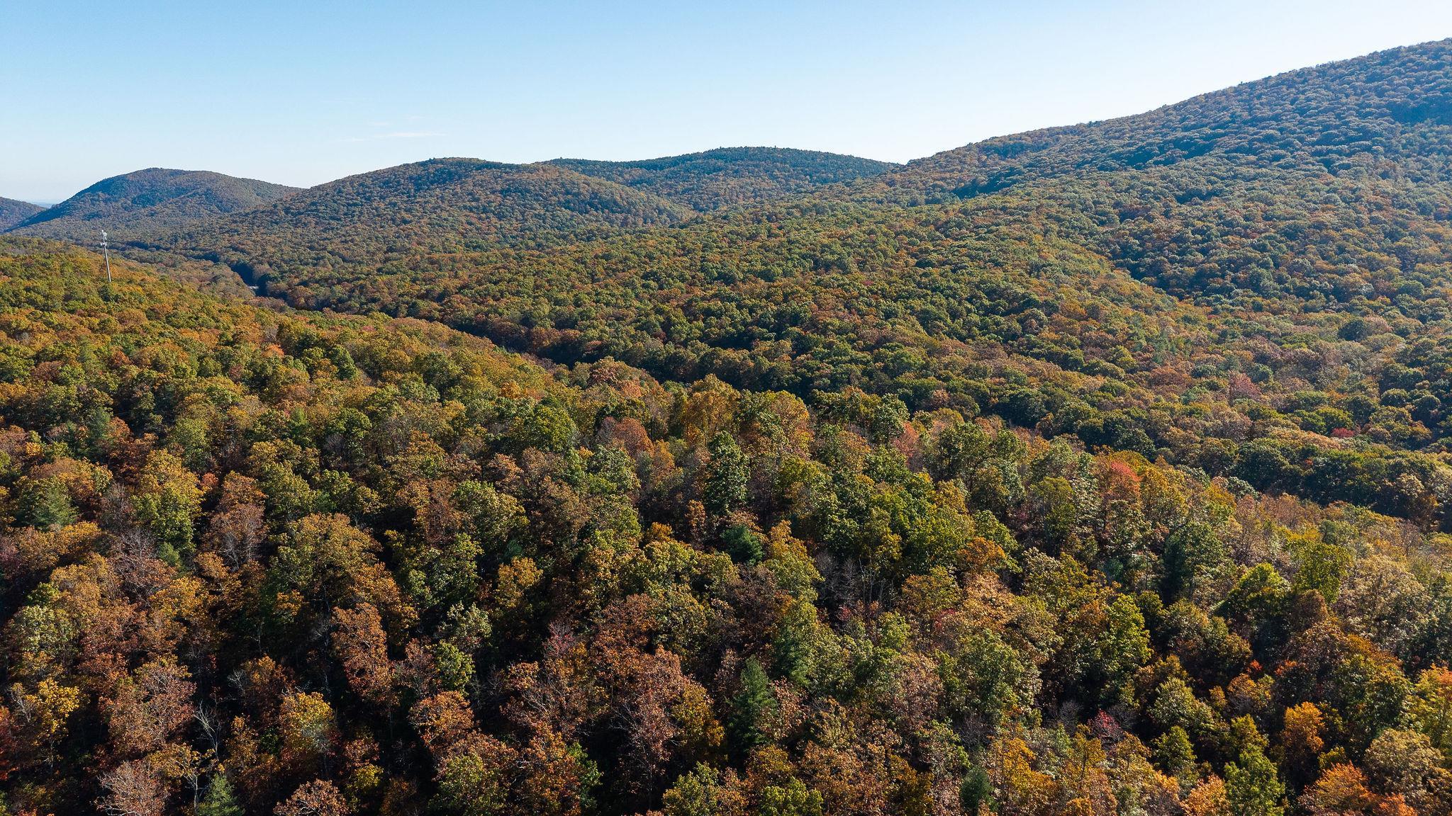 TBD BUFFALO GAP HWY, SWOOPE, Virginia 24479, ,Land,TBD BUFFALO GAP HWY,670158 MLS # 670158