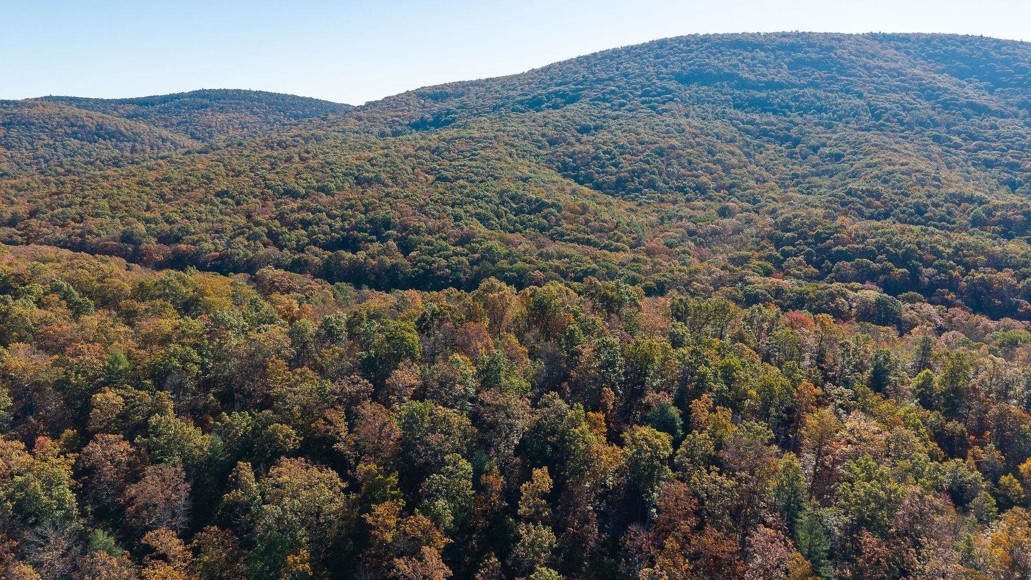 TBD BUFFALO GAP HWY, SWOOPE, Virginia 24479, ,Land,TBD BUFFALO GAP HWY,670158 MLS # 670158