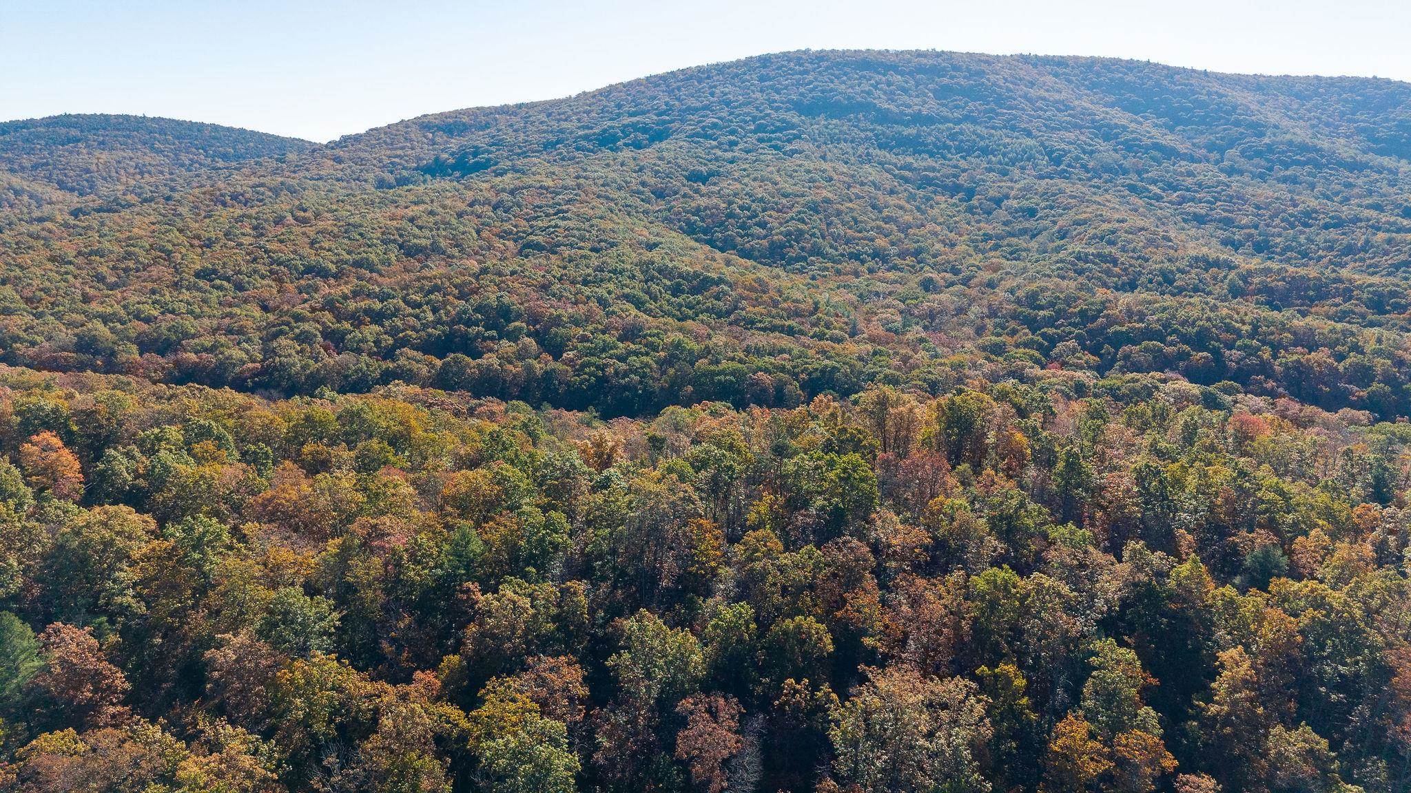 TBD BUFFALO GAP HWY, SWOOPE, Virginia 24479, ,Land,TBD BUFFALO GAP HWY,670158 MLS # 670158