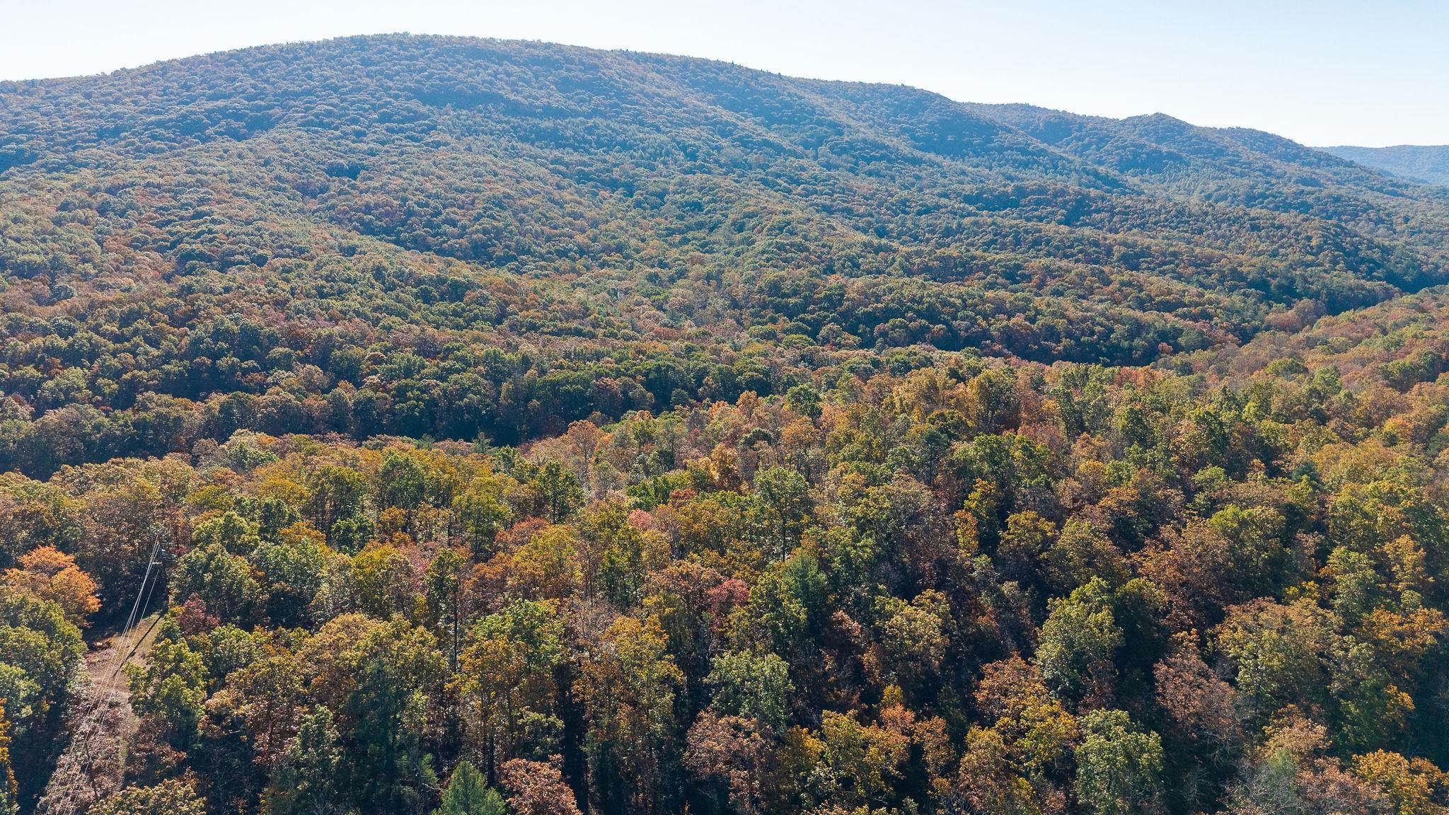 TBD BUFFALO GAP HWY, SWOOPE, Virginia 24479, ,Land,TBD BUFFALO GAP HWY,670158 MLS # 670158