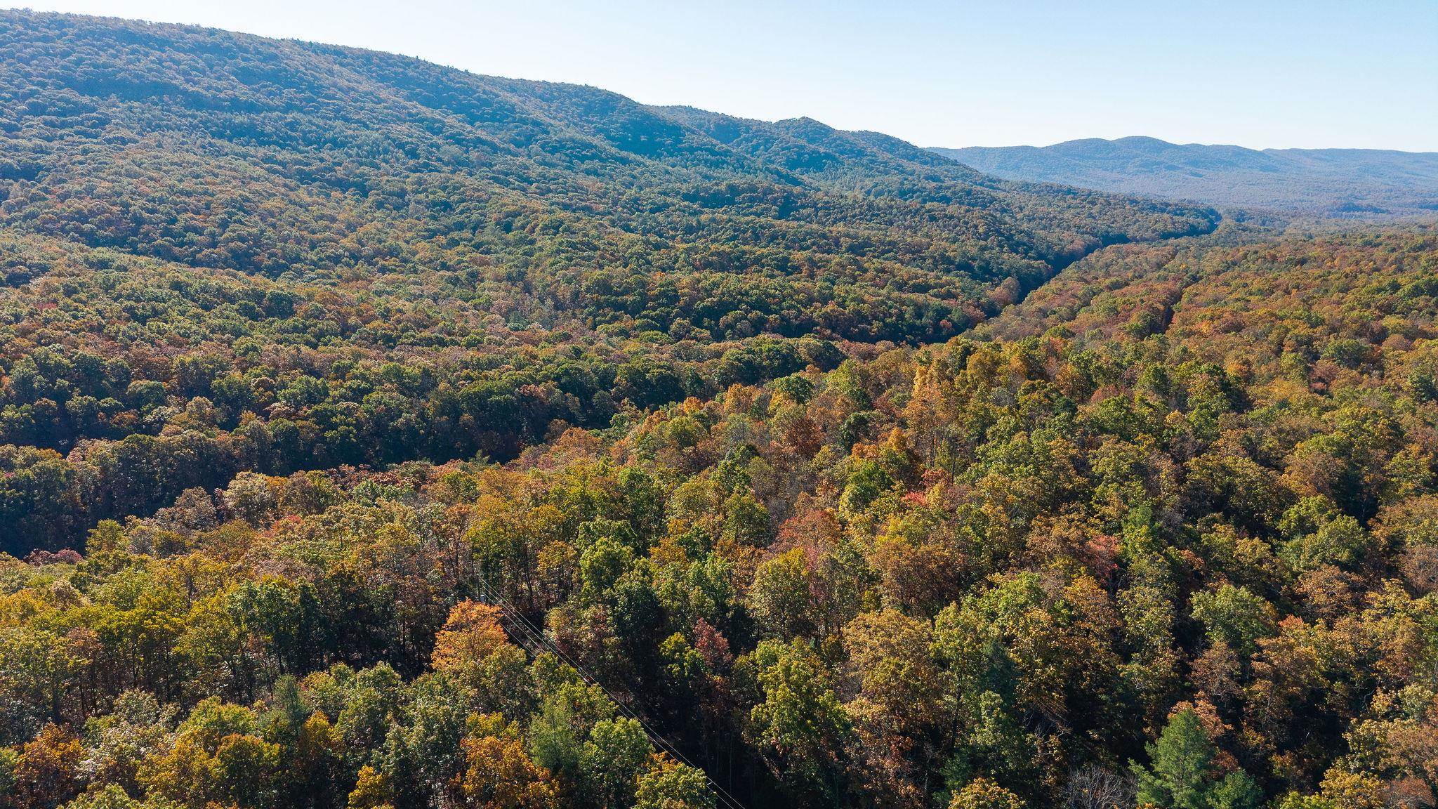 TBD BUFFALO GAP HWY, SWOOPE, Virginia 24479, ,Land,TBD BUFFALO GAP HWY,670158 MLS # 670158