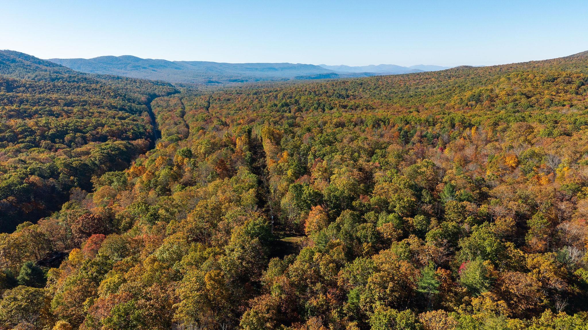 TBD BUFFALO GAP HWY, SWOOPE, Virginia 24479, ,Land,TBD BUFFALO GAP HWY,670158 MLS # 670158