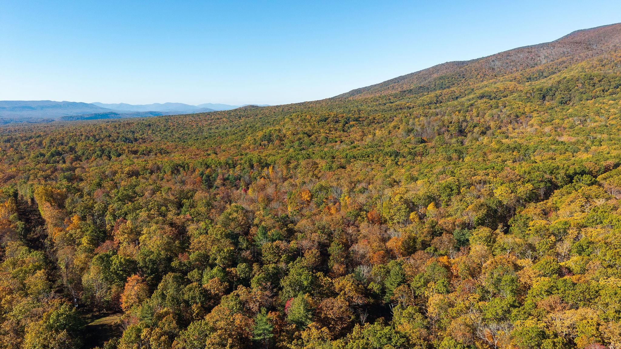 TBD BUFFALO GAP HWY, SWOOPE, Virginia 24479, ,Land,TBD BUFFALO GAP HWY,670158 MLS # 670158