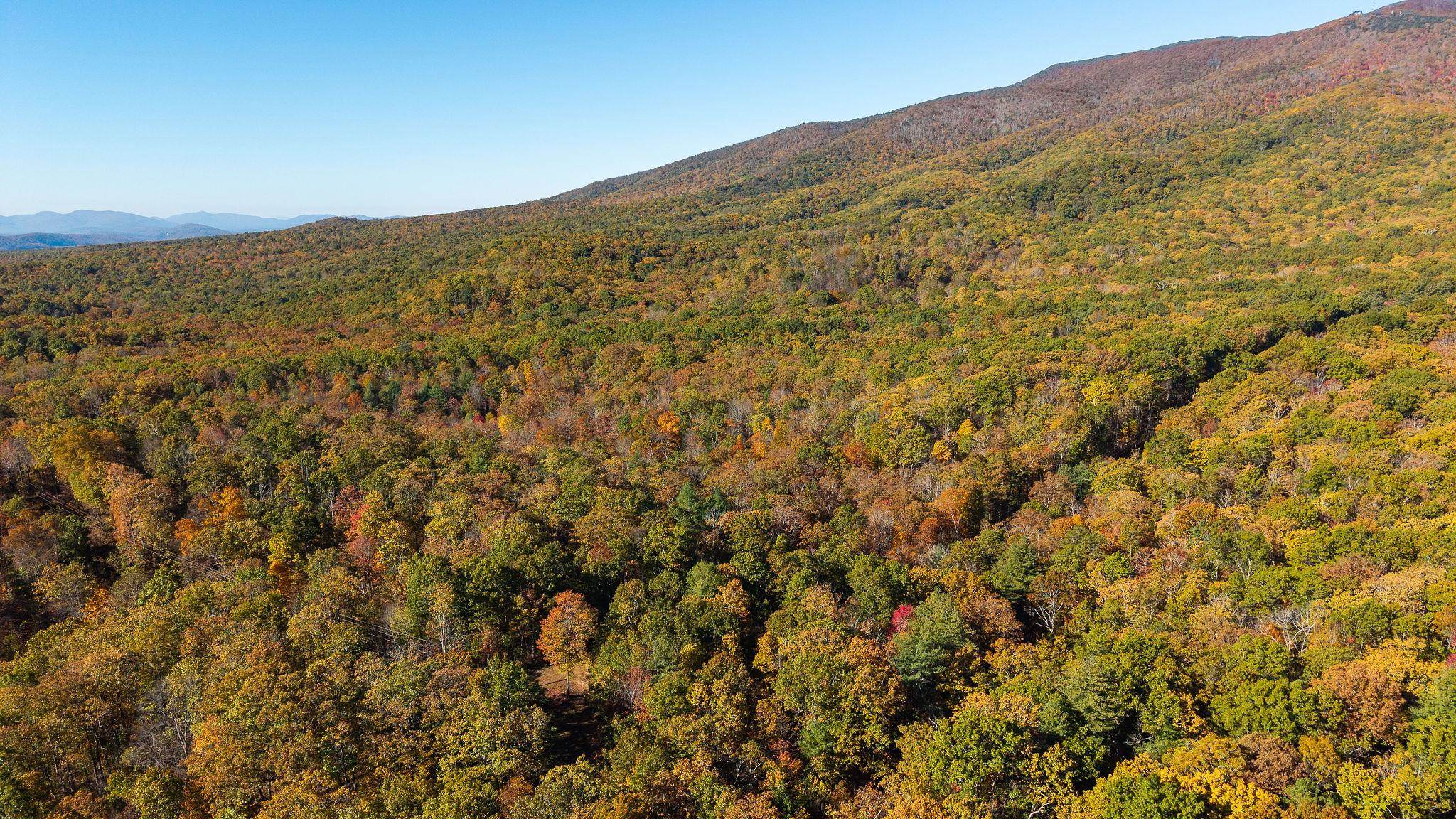 TBD BUFFALO GAP HWY, SWOOPE, Virginia 24479, ,Land,TBD BUFFALO GAP HWY,670158 MLS # 670158