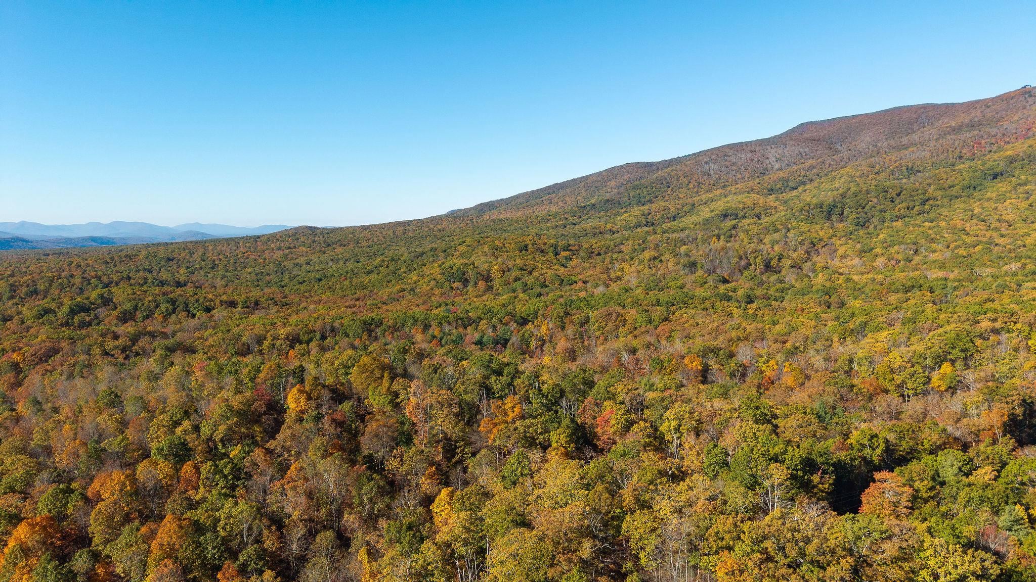 TBD BUFFALO GAP HWY, SWOOPE, Virginia 24479, ,Land,TBD BUFFALO GAP HWY,670158 MLS # 670158