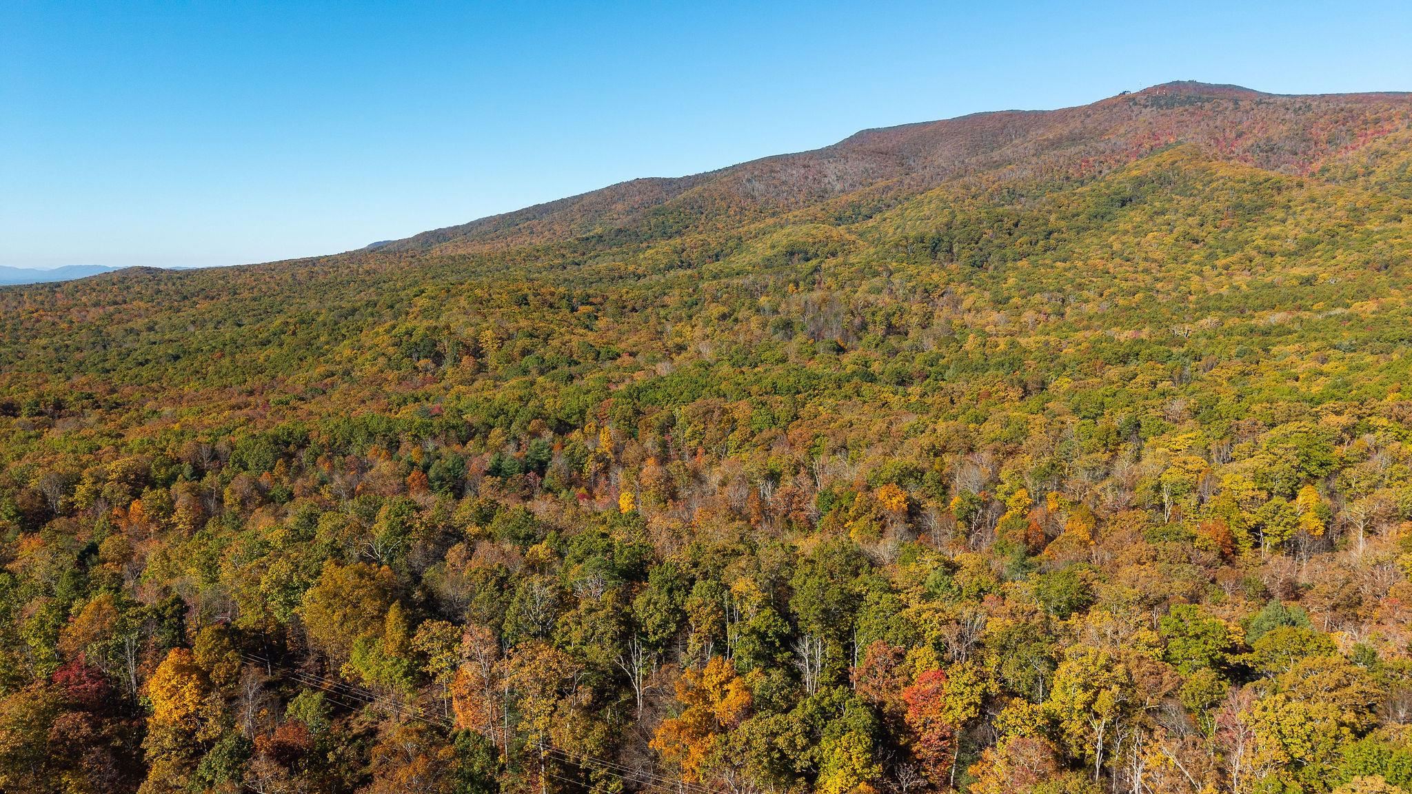 TBD BUFFALO GAP HWY, SWOOPE, Virginia 24479, ,Land,TBD BUFFALO GAP HWY,670158 MLS # 670158