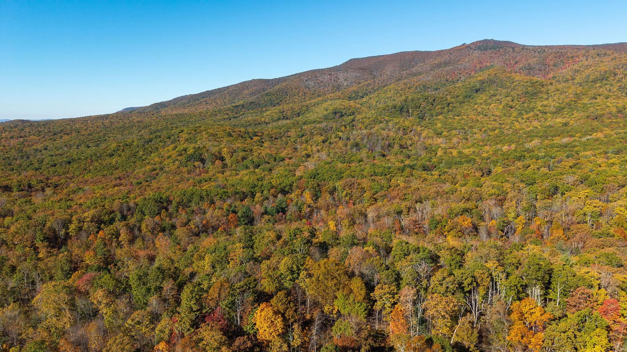 TBD BUFFALO GAP HWY, SWOOPE, Virginia 24479, ,Land,TBD BUFFALO GAP HWY,670158 MLS # 670158