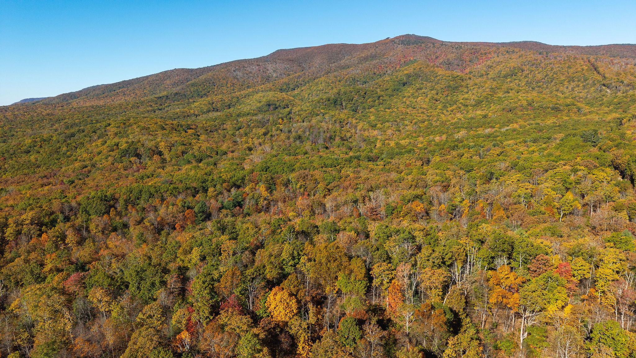 TBD BUFFALO GAP HWY, SWOOPE, Virginia 24479, ,Land,TBD BUFFALO GAP HWY,670158 MLS # 670158