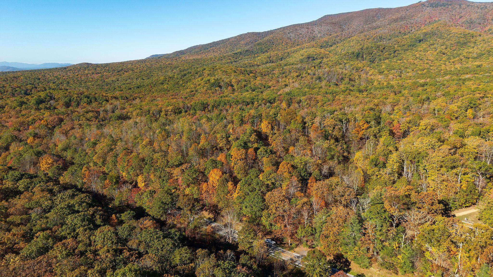 TBD BUFFALO GAP HWY, SWOOPE, Virginia 24479, ,Land,TBD BUFFALO GAP HWY,670158 MLS # 670158