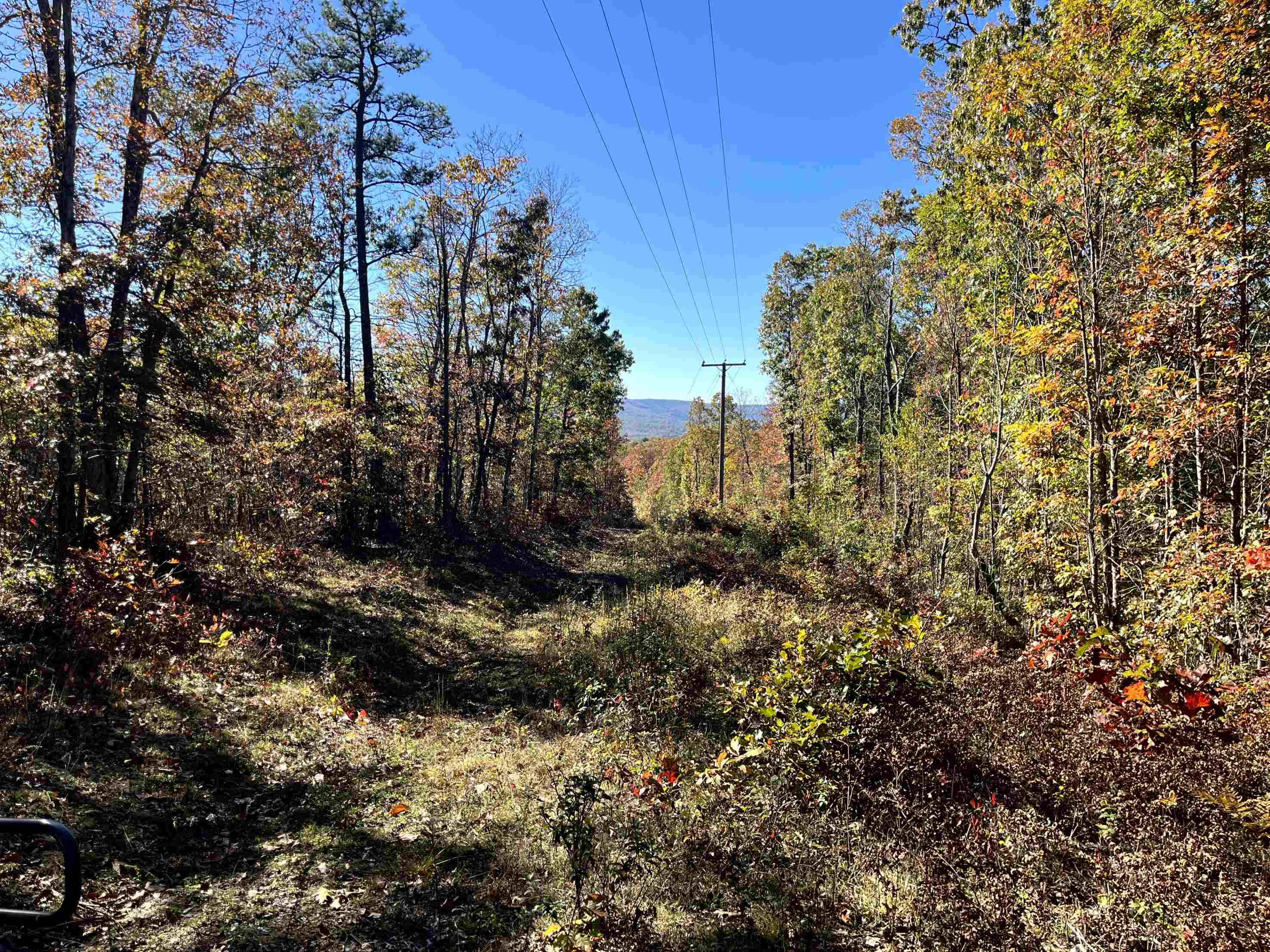 TBD BUFFALO GAP HWY, SWOOPE, Virginia 24479, ,Land,TBD BUFFALO GAP HWY,670158 MLS # 670158